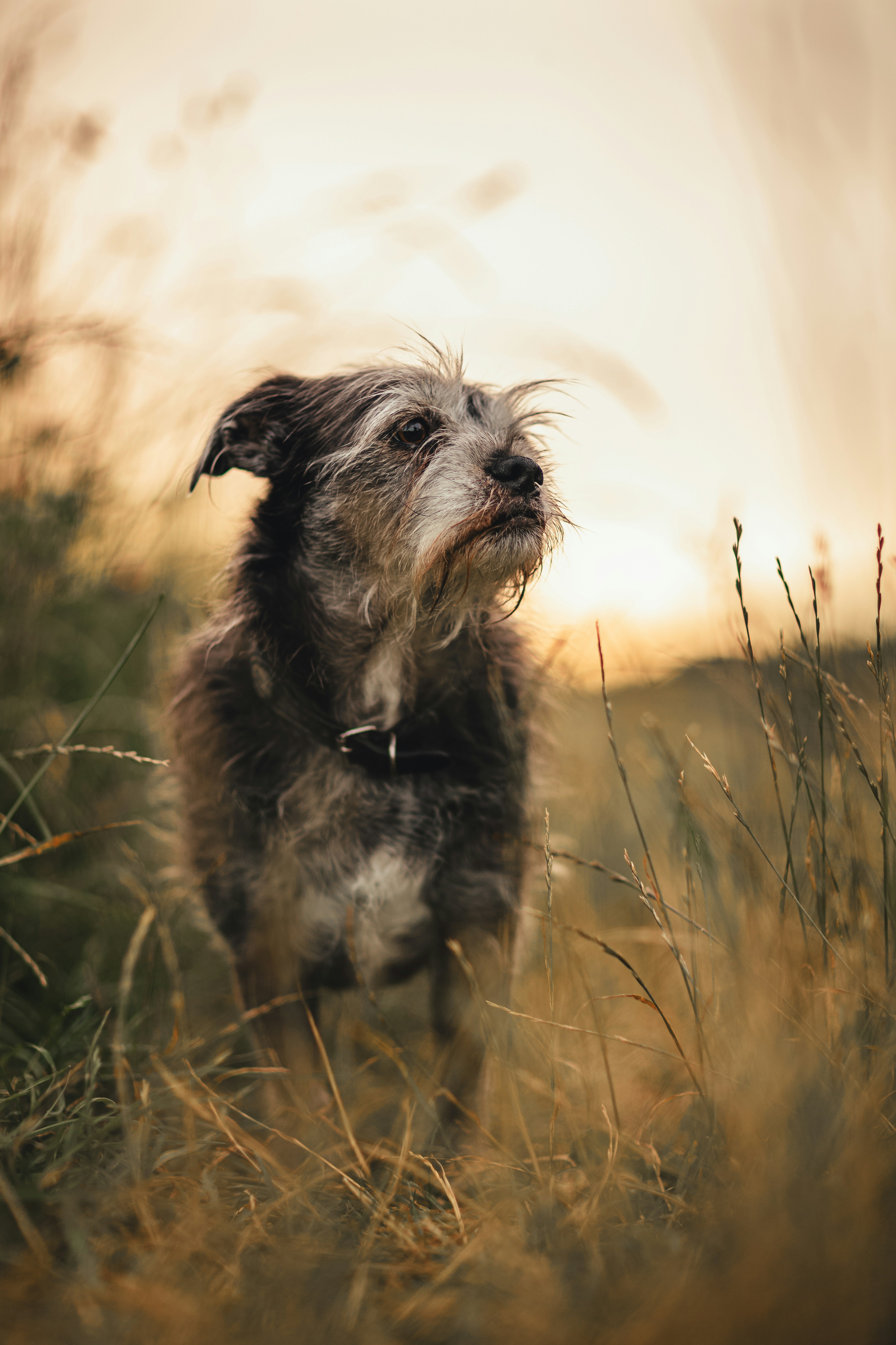 Photo by janoschphotos