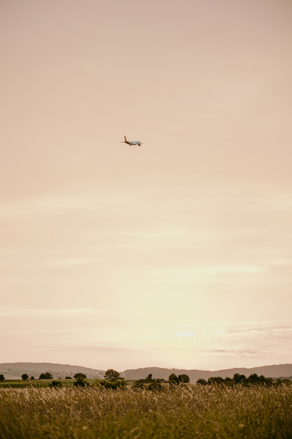 a plane flying over a field of tall grass