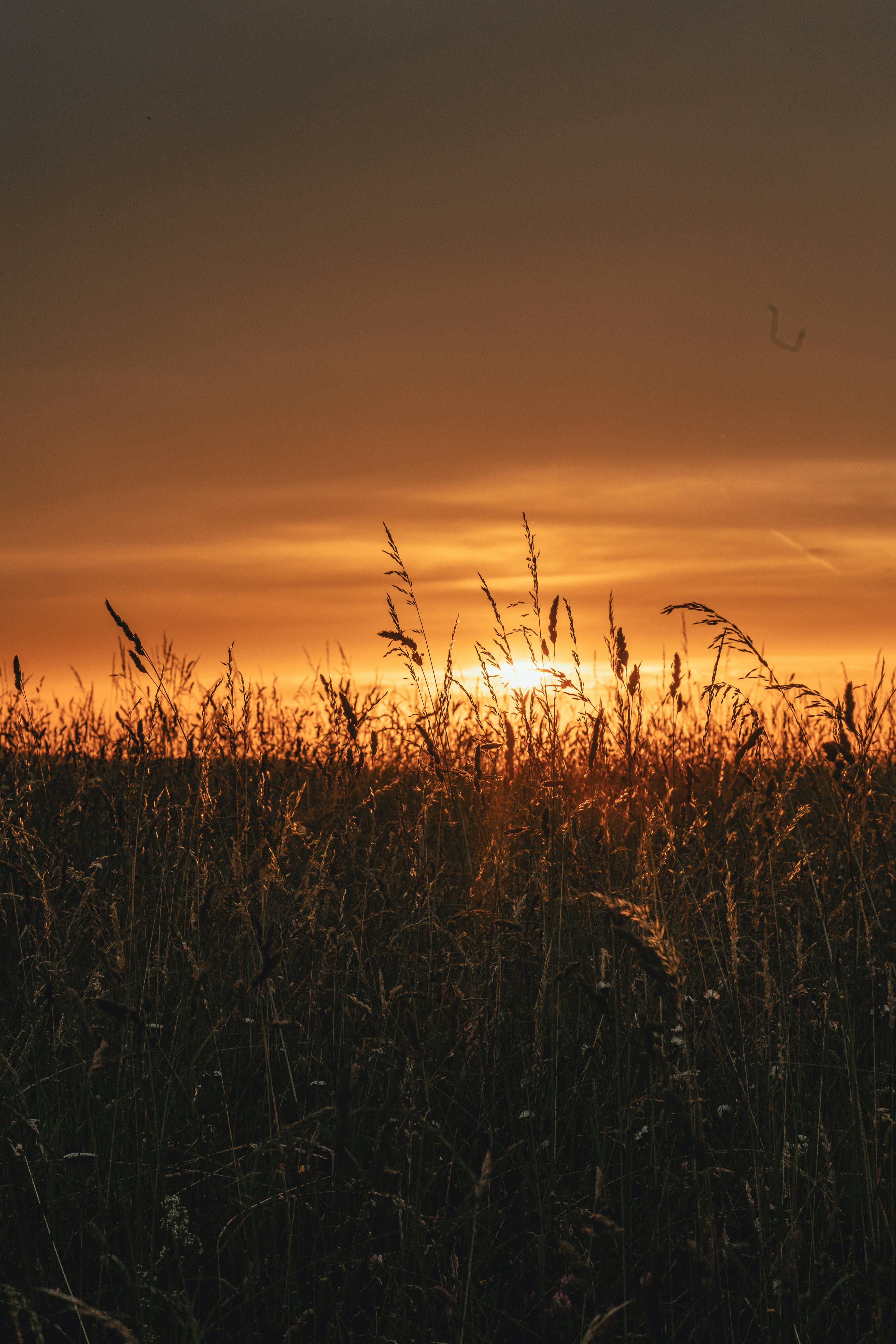 Photo by janoschphotos