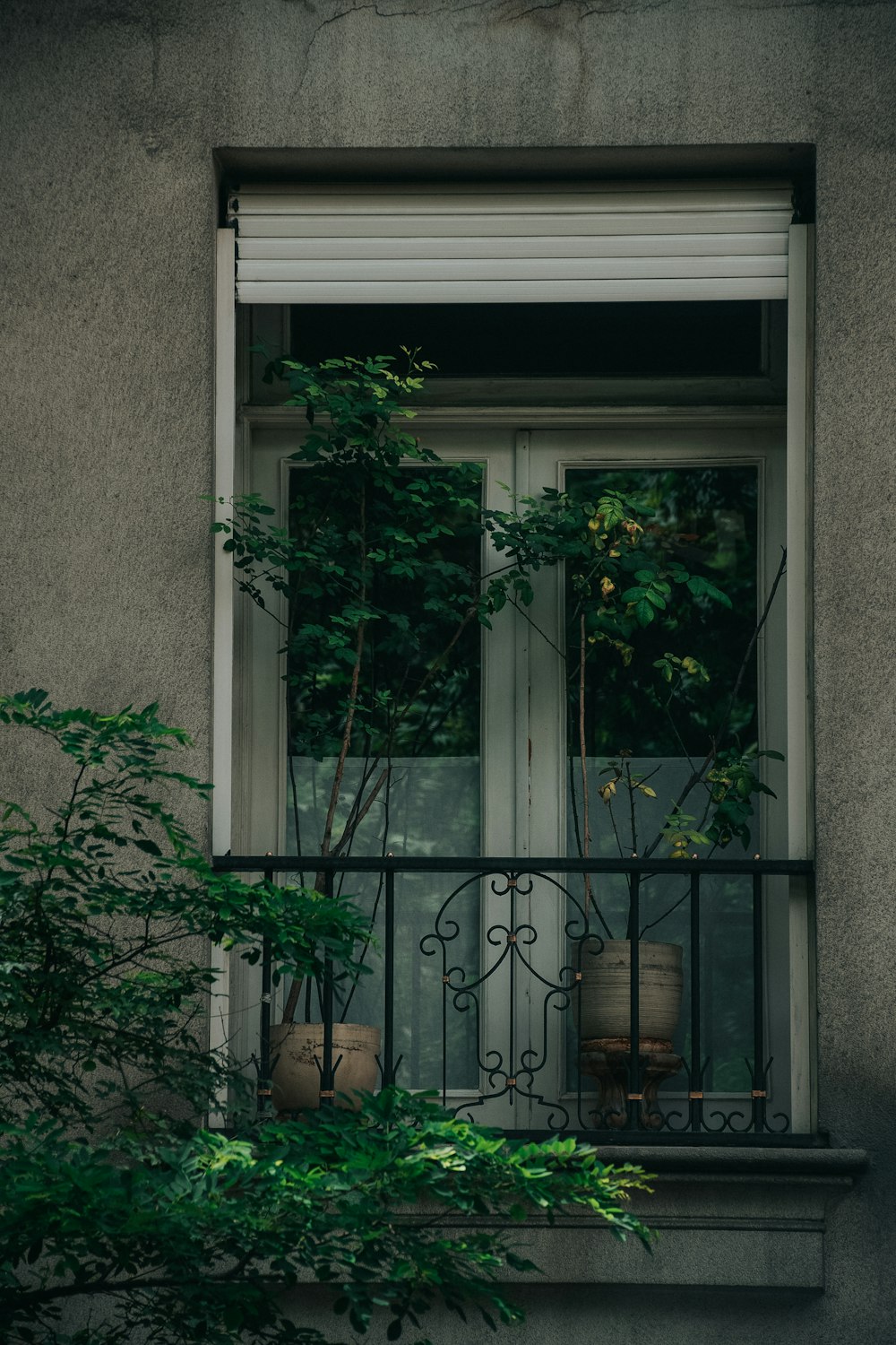 a window with a wrought iron balcony and potted plants