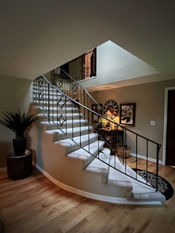 a staircase in a house with a potted plant next to it