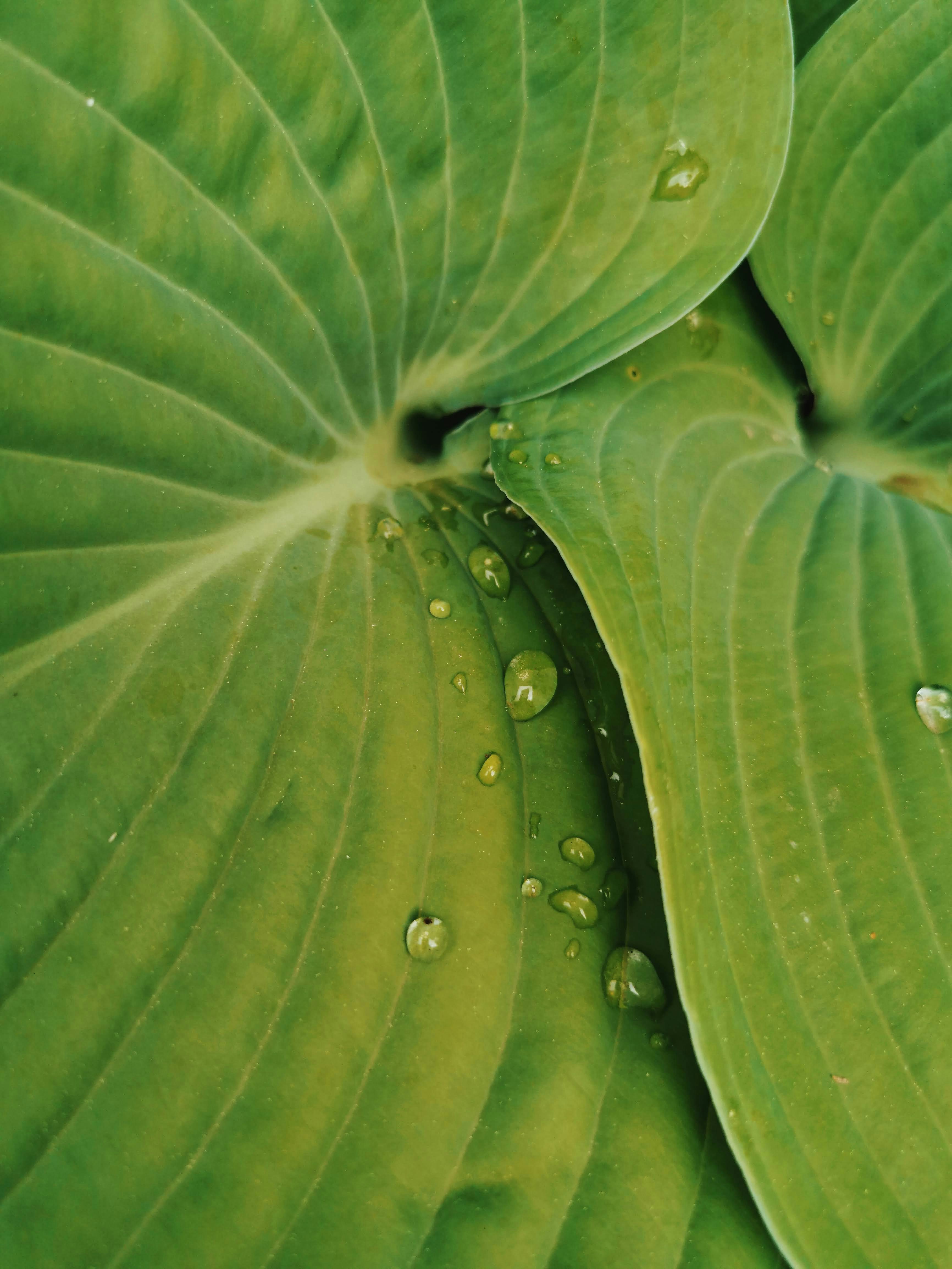 Photo by katherinestpierre