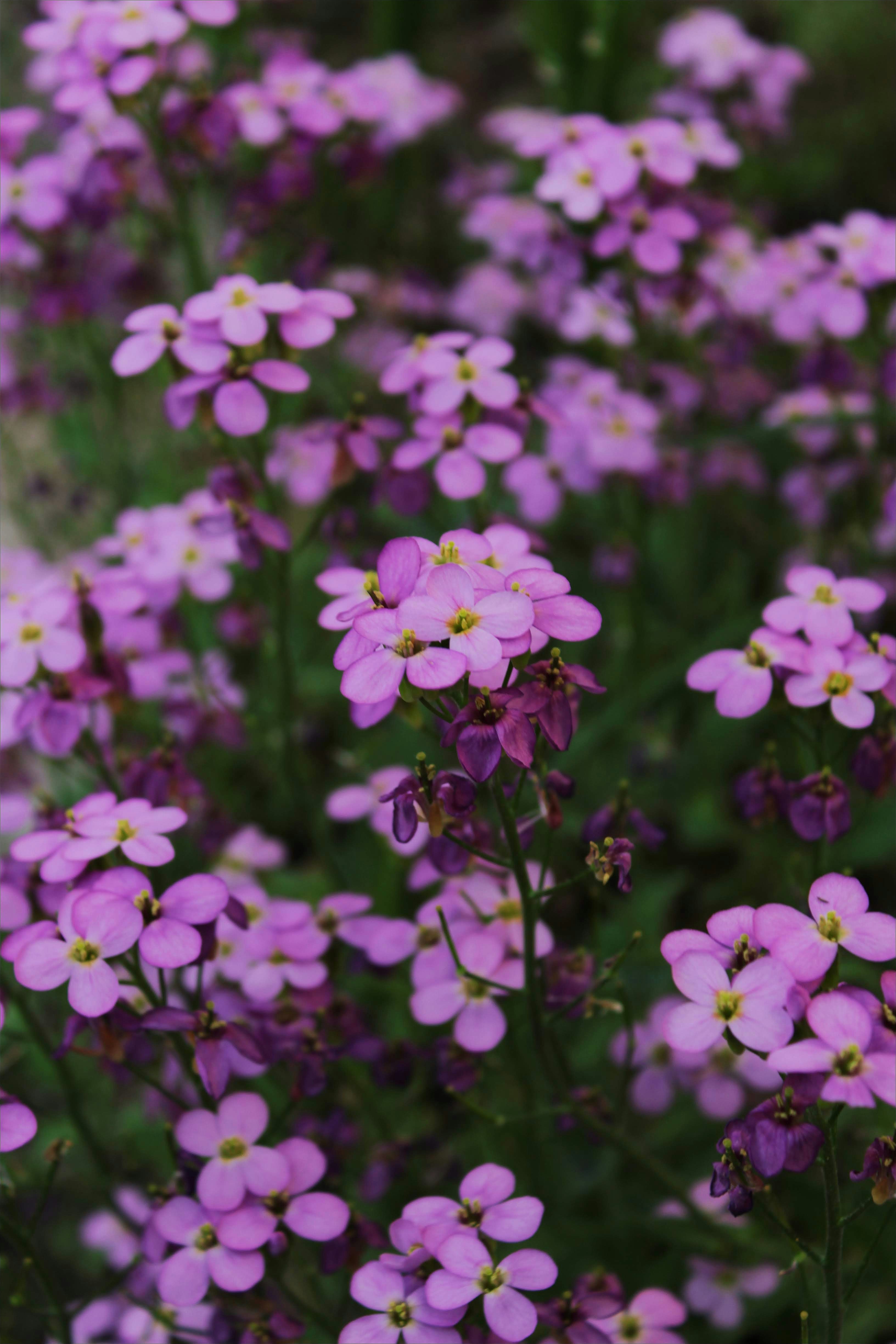 Photo by katherinestpierre