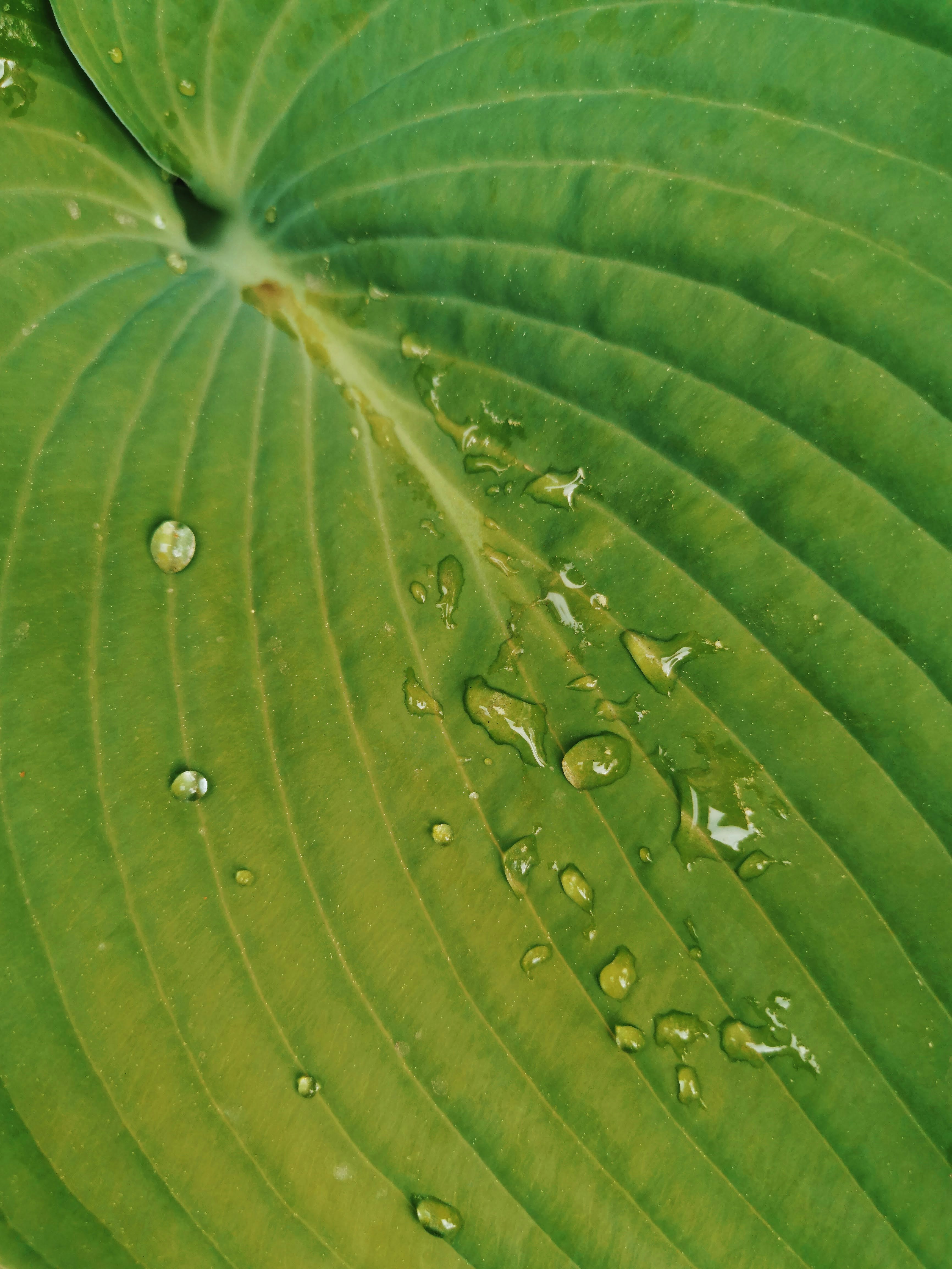 Photo by katherinestpierre