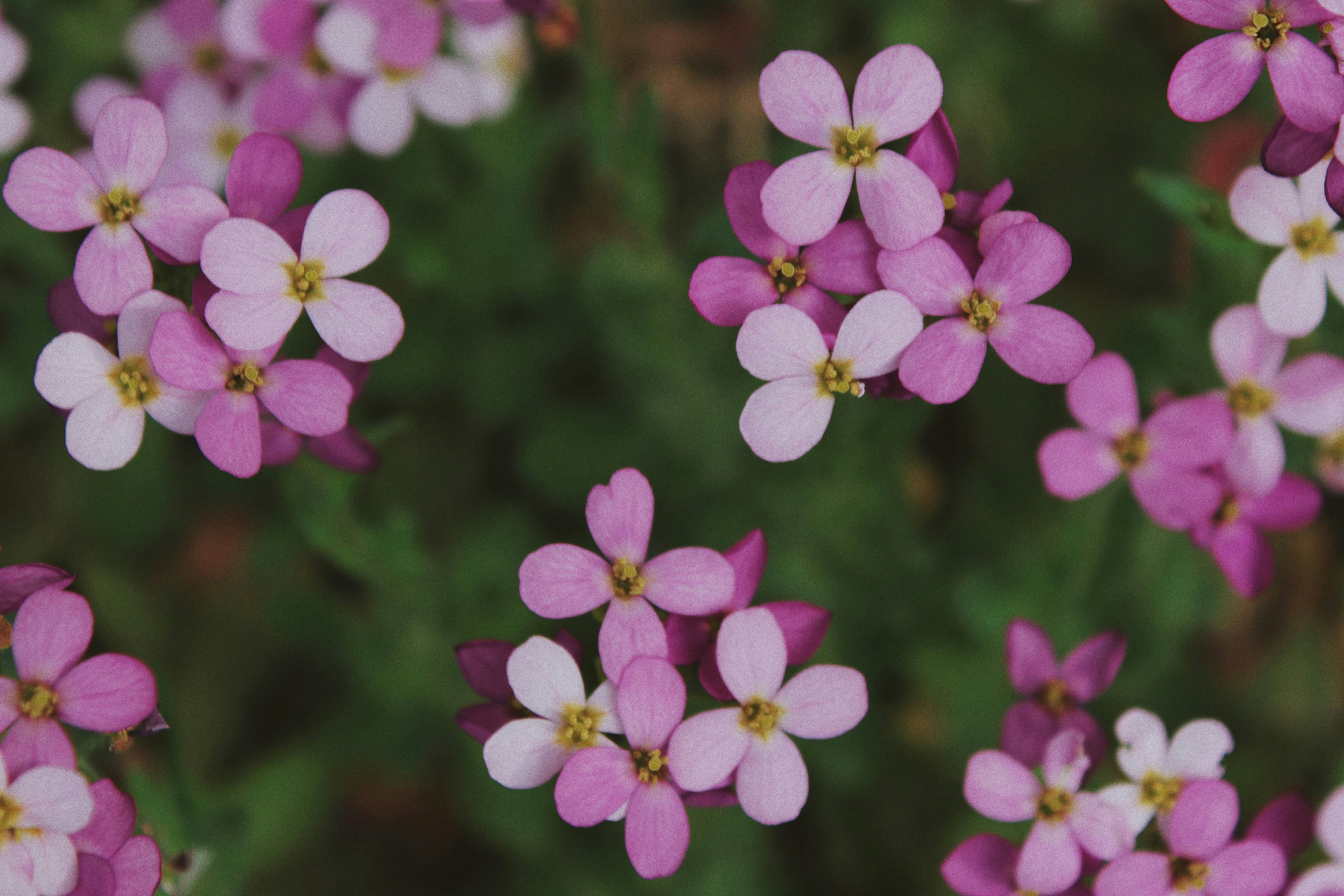 Photo by katherinestpierre