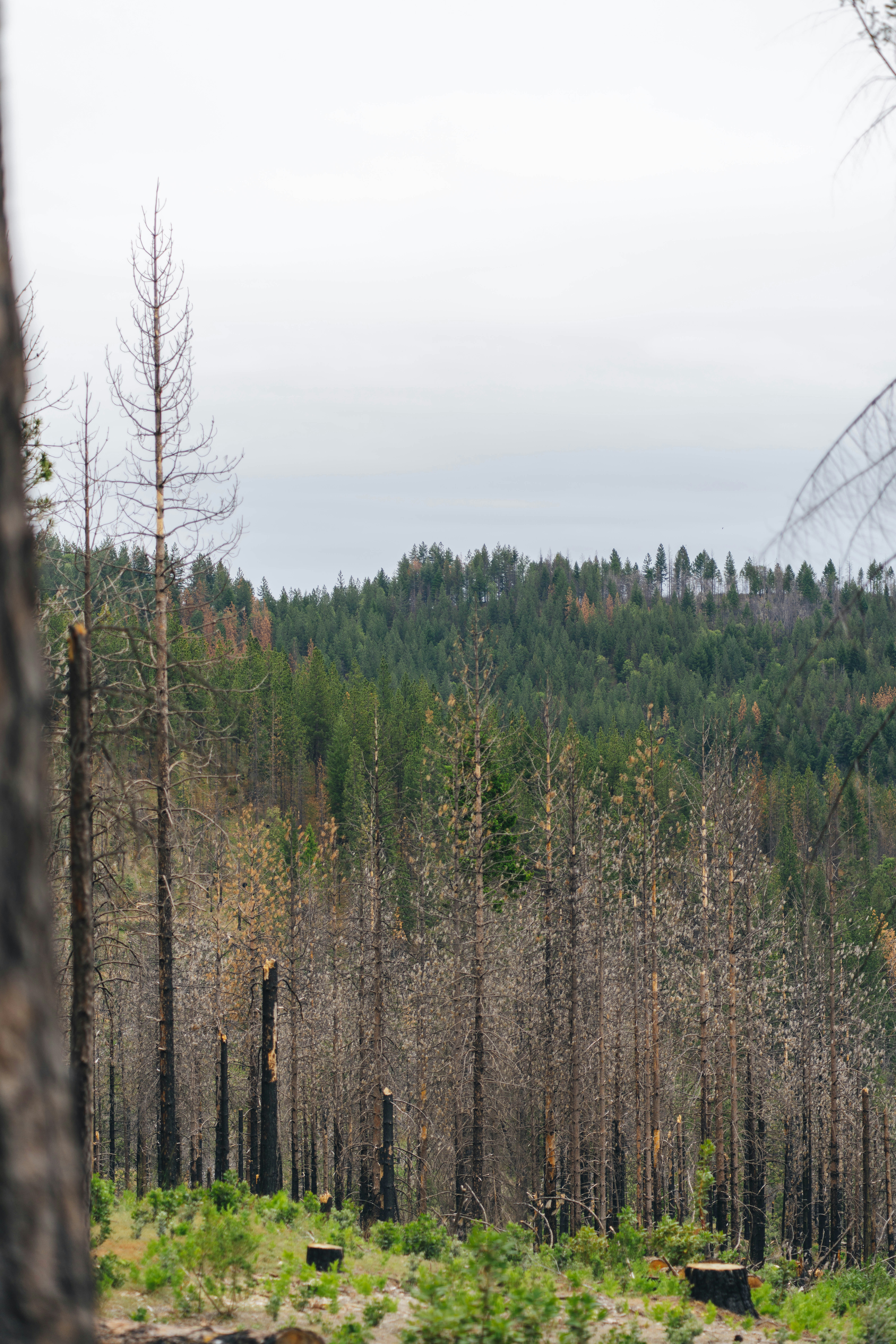 Photo by m_breedlove