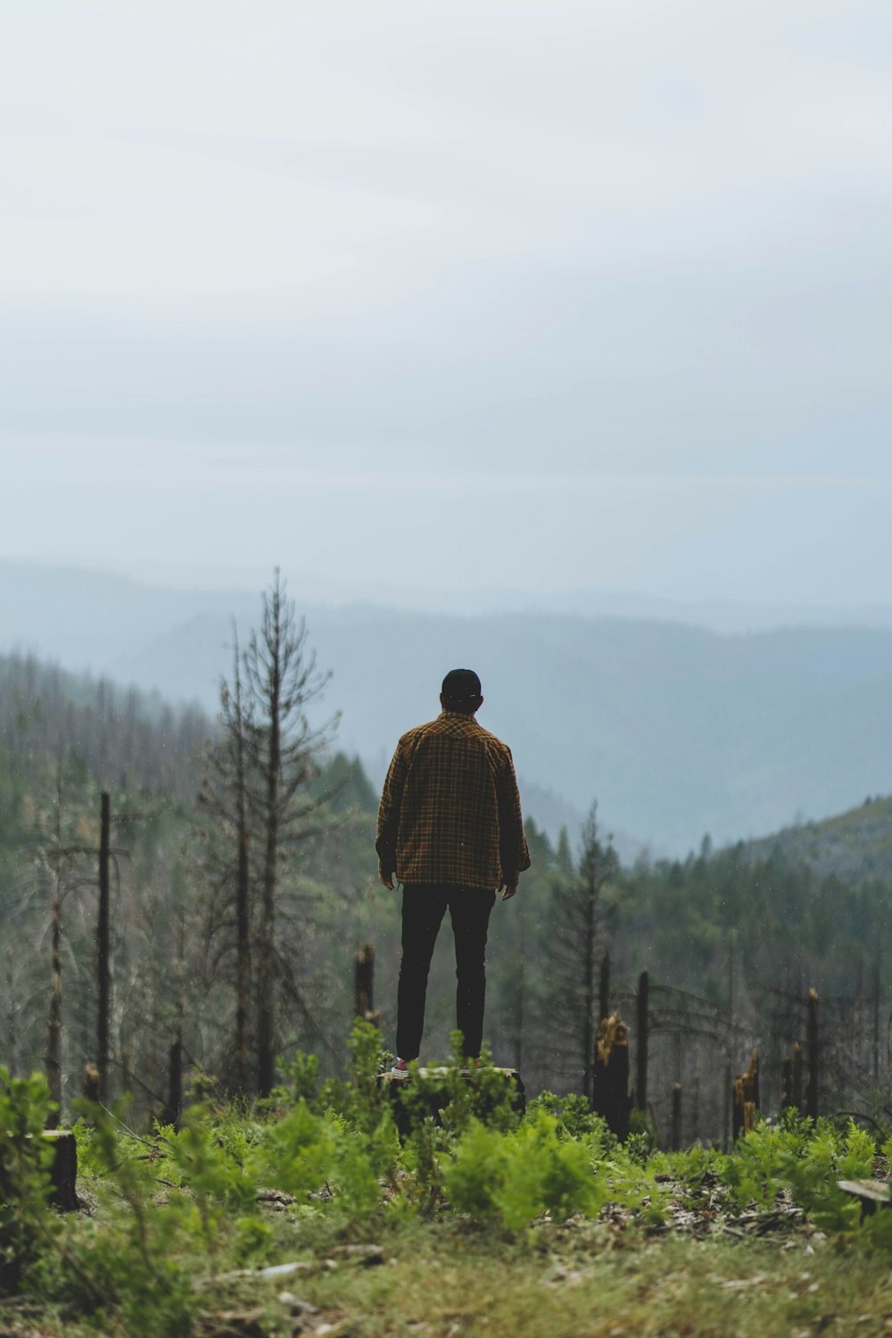 a man standing on top of a lush green hillside