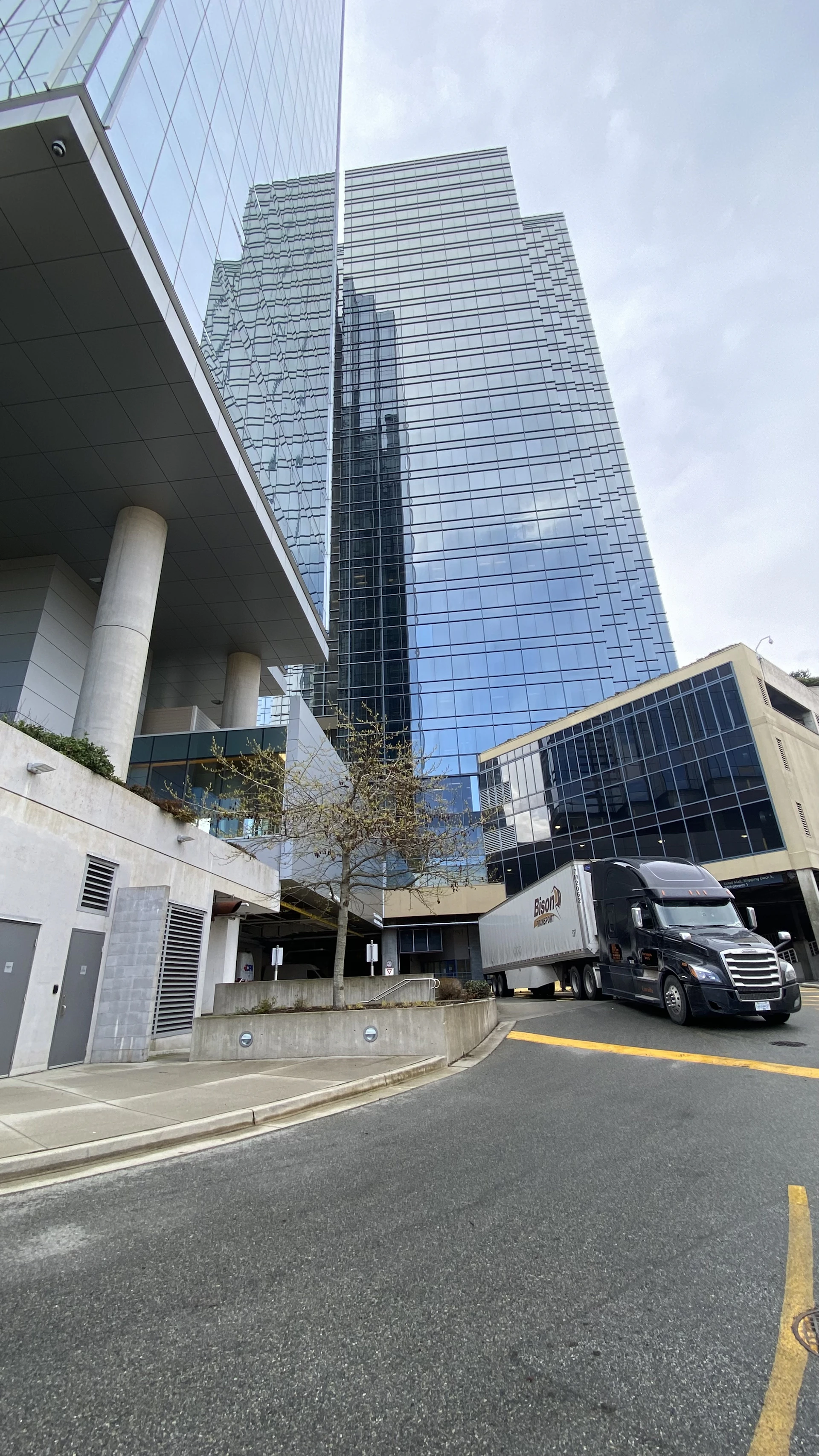 black and brown leather padded tub sofa