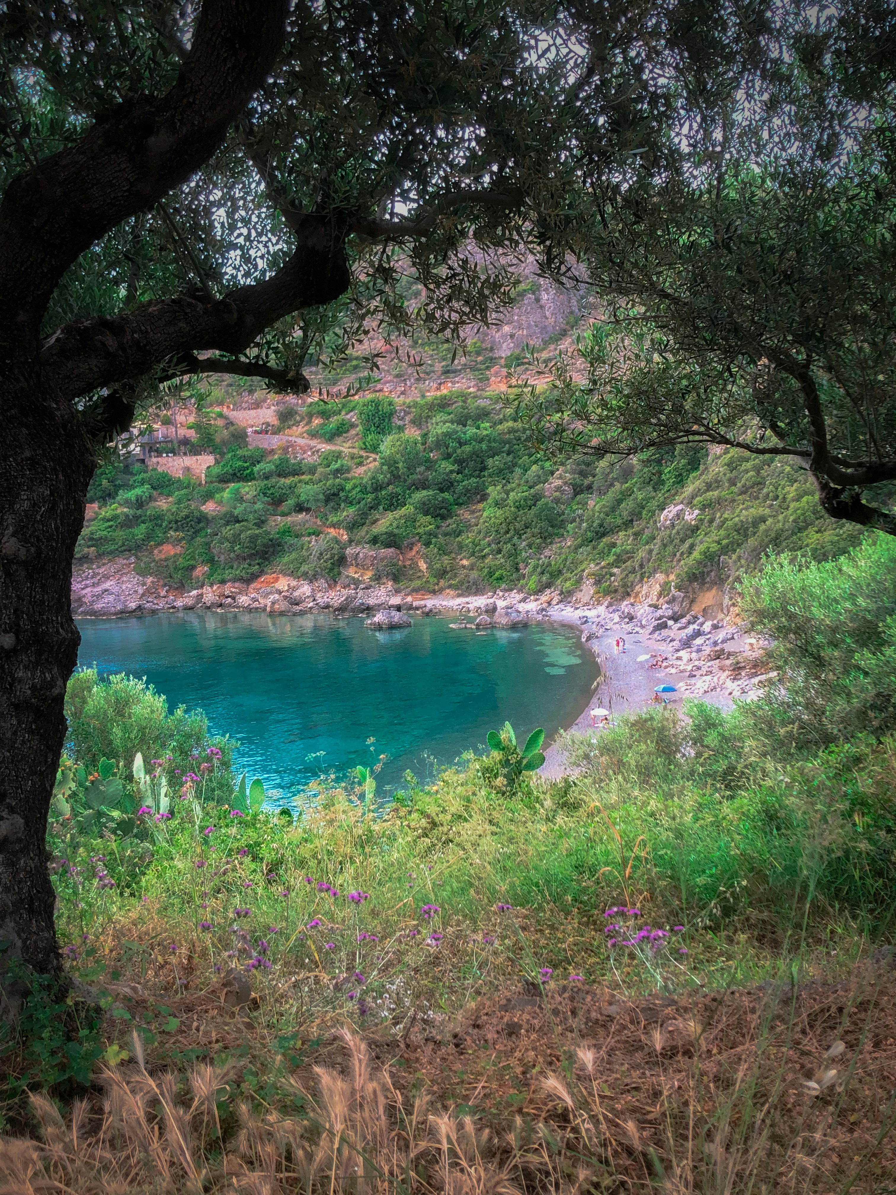 Photo by makis_hristaras