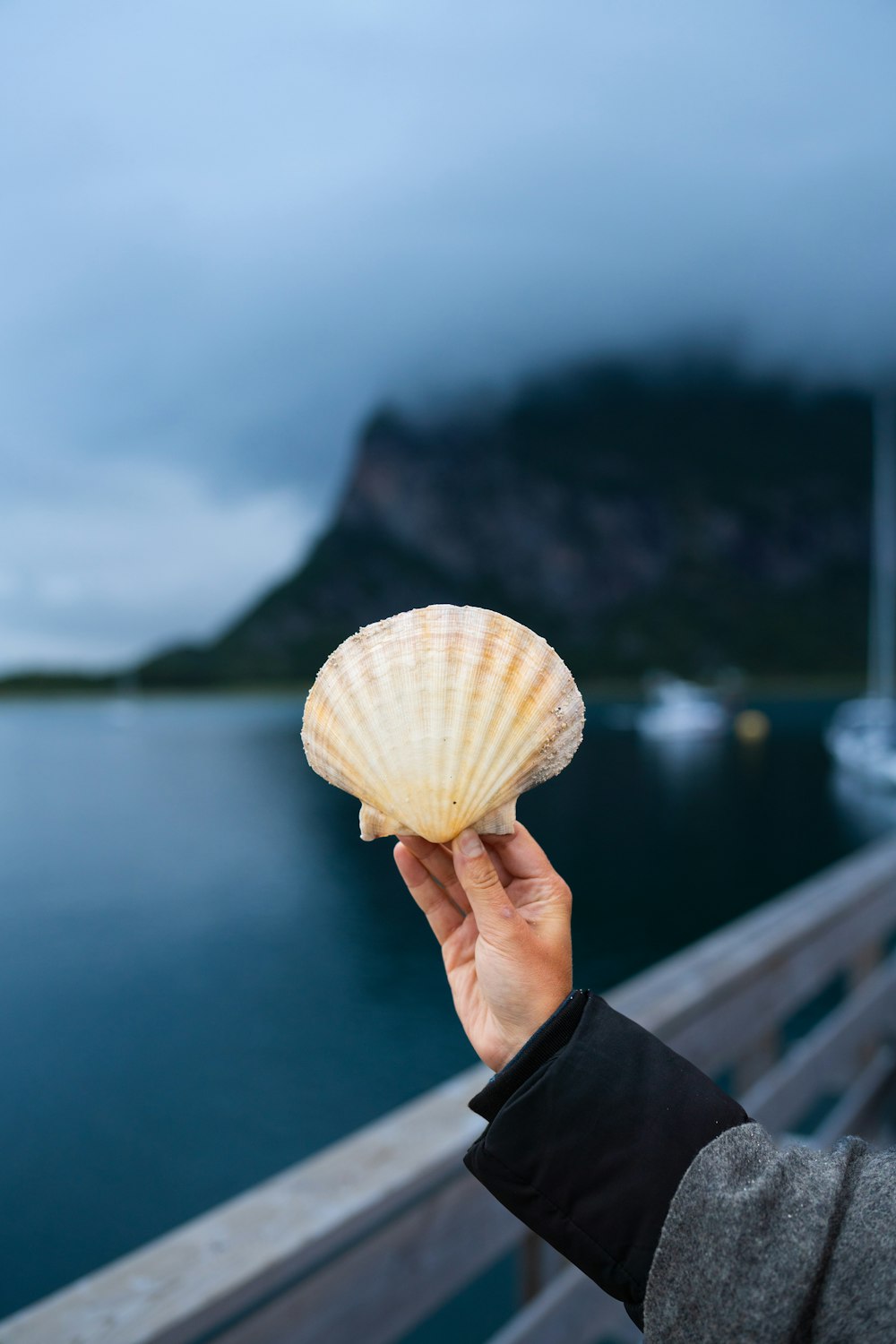 a person holding a shell in front of a body of water