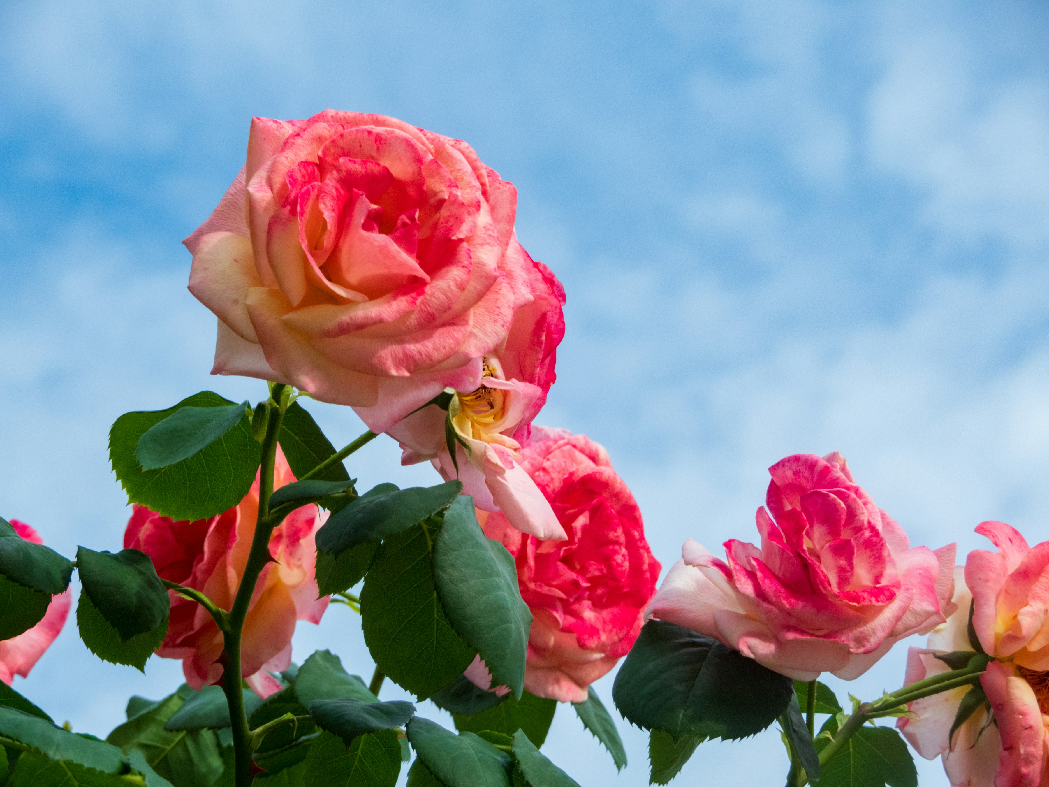 Photo by heppoko_yama