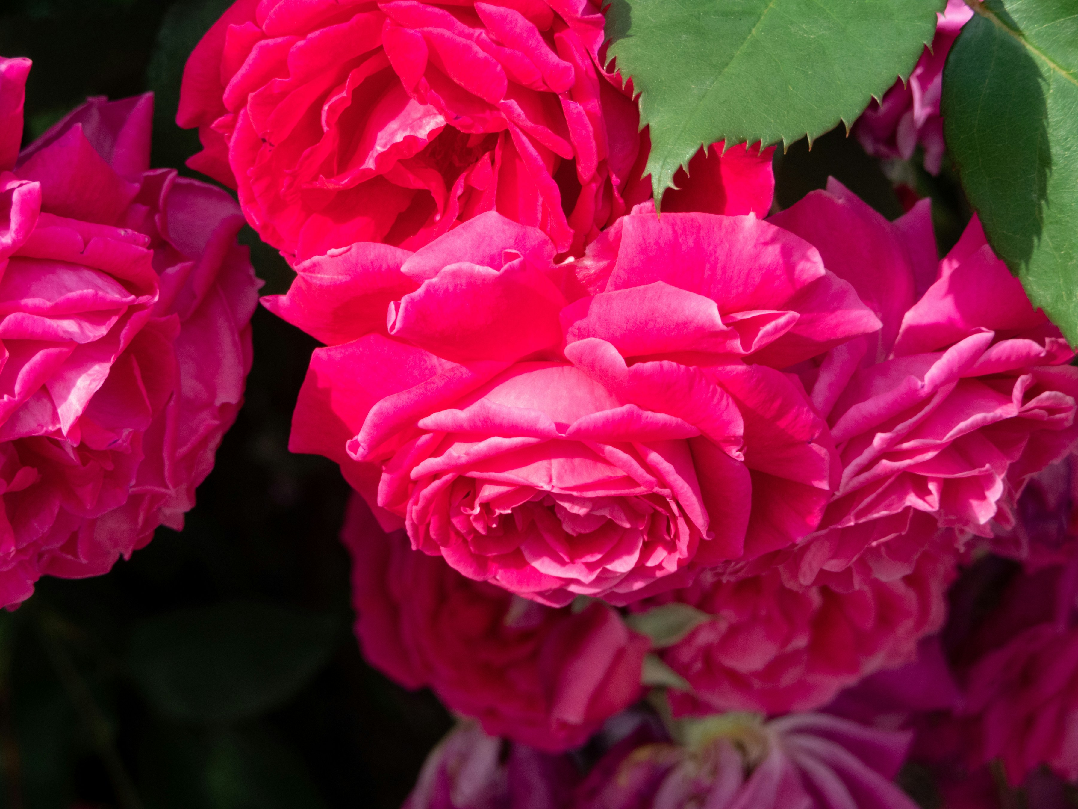 Photo by heppoko_yama