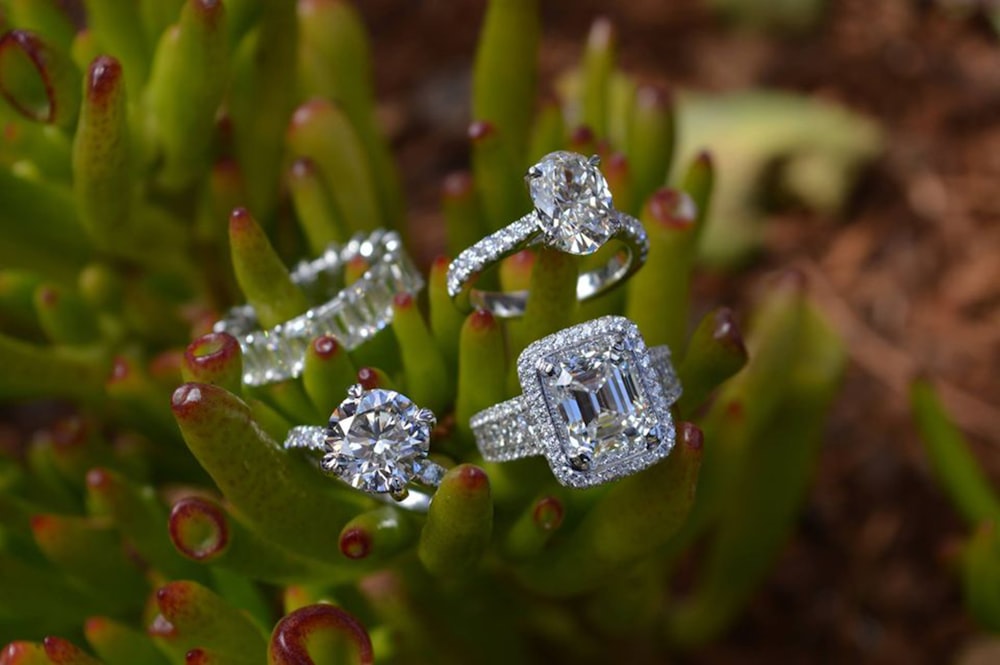 um par de anéis de diamante sentados em cima de uma planta
