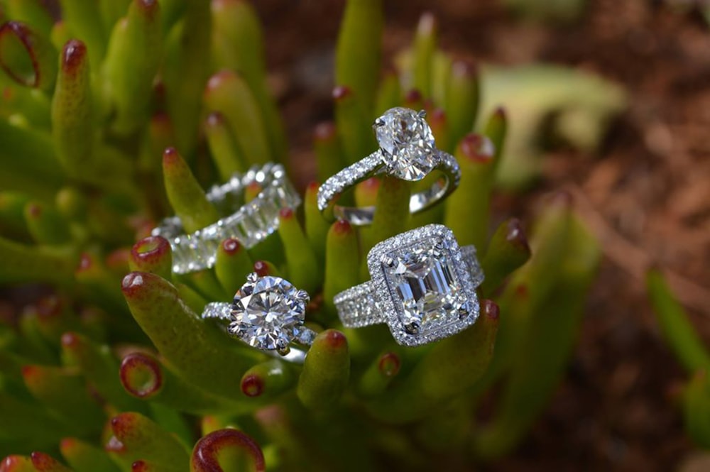 a couple of diamond rings sitting on top of a plant