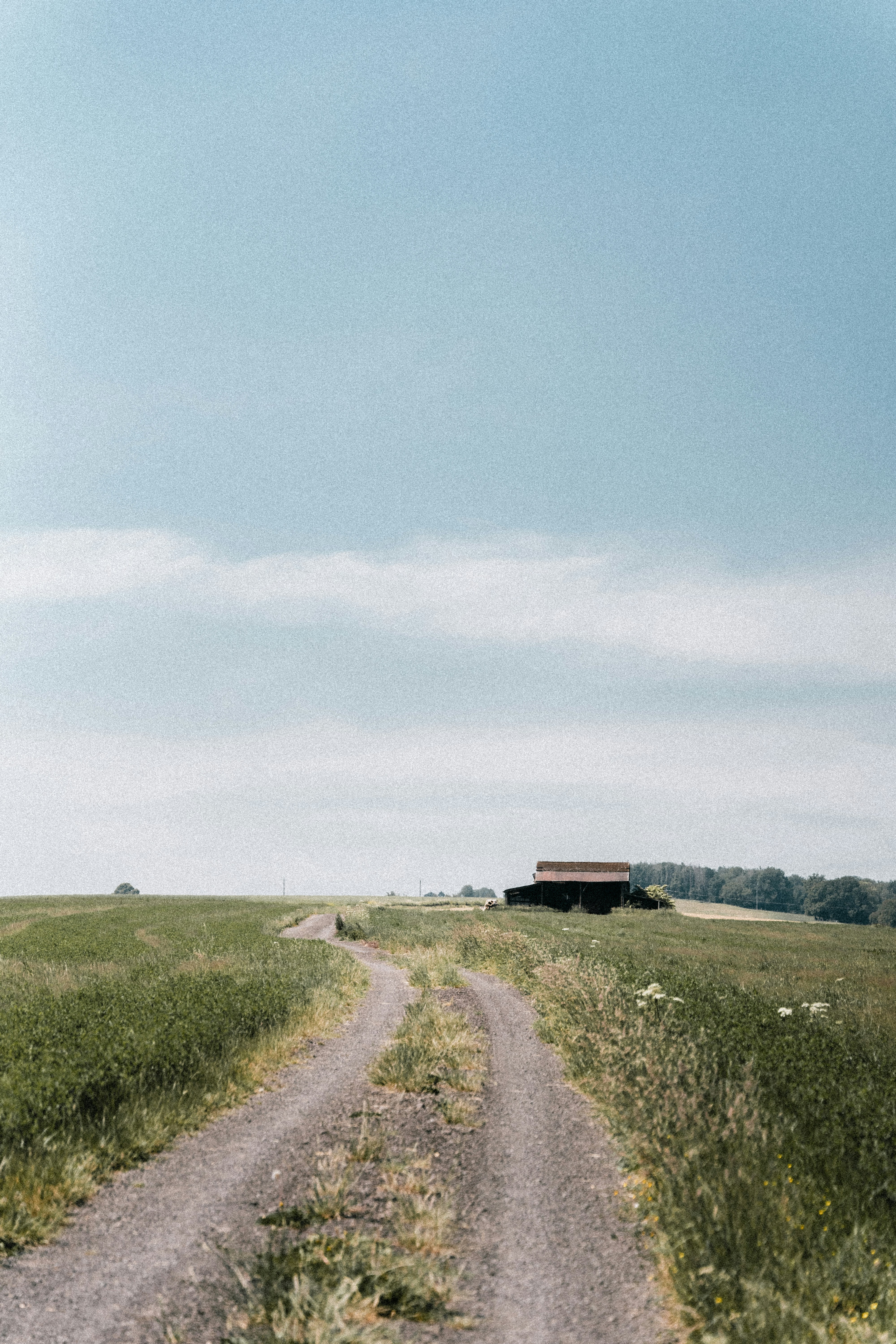Photo by xandrovandewalle