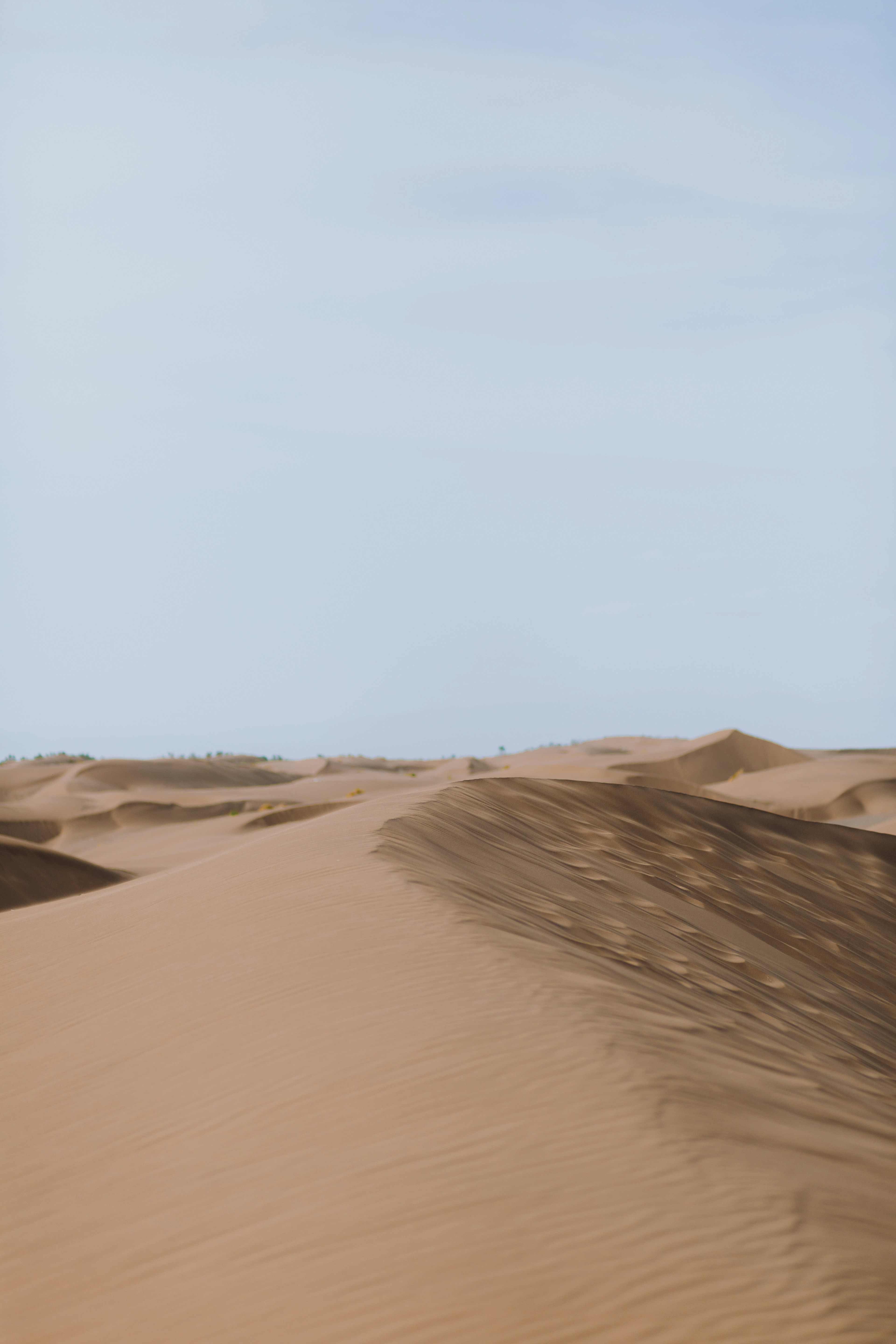 Photo by mohsenamerri