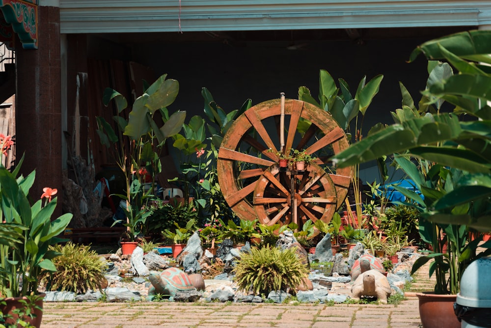 a wheel surrounded by plants in a garden