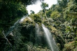 a very tall waterfall in the middle of a forest
