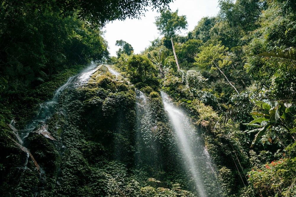 a very tall waterfall in the middle of a forest