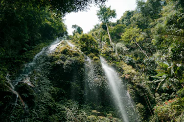 Royal Belum State Park, Malaysia
