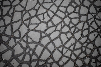 A close-up view of a cracked surface, possibly a pavement or asphalt, with irregular patterns formed by the cracks. The surface is primarily gray, and the cracks are dark, giving a distinct web-like appearance.