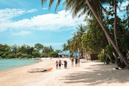 a group of people standing on a beach next to a body of water