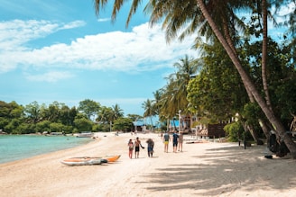 a group of people standing on a beach next to a body of water