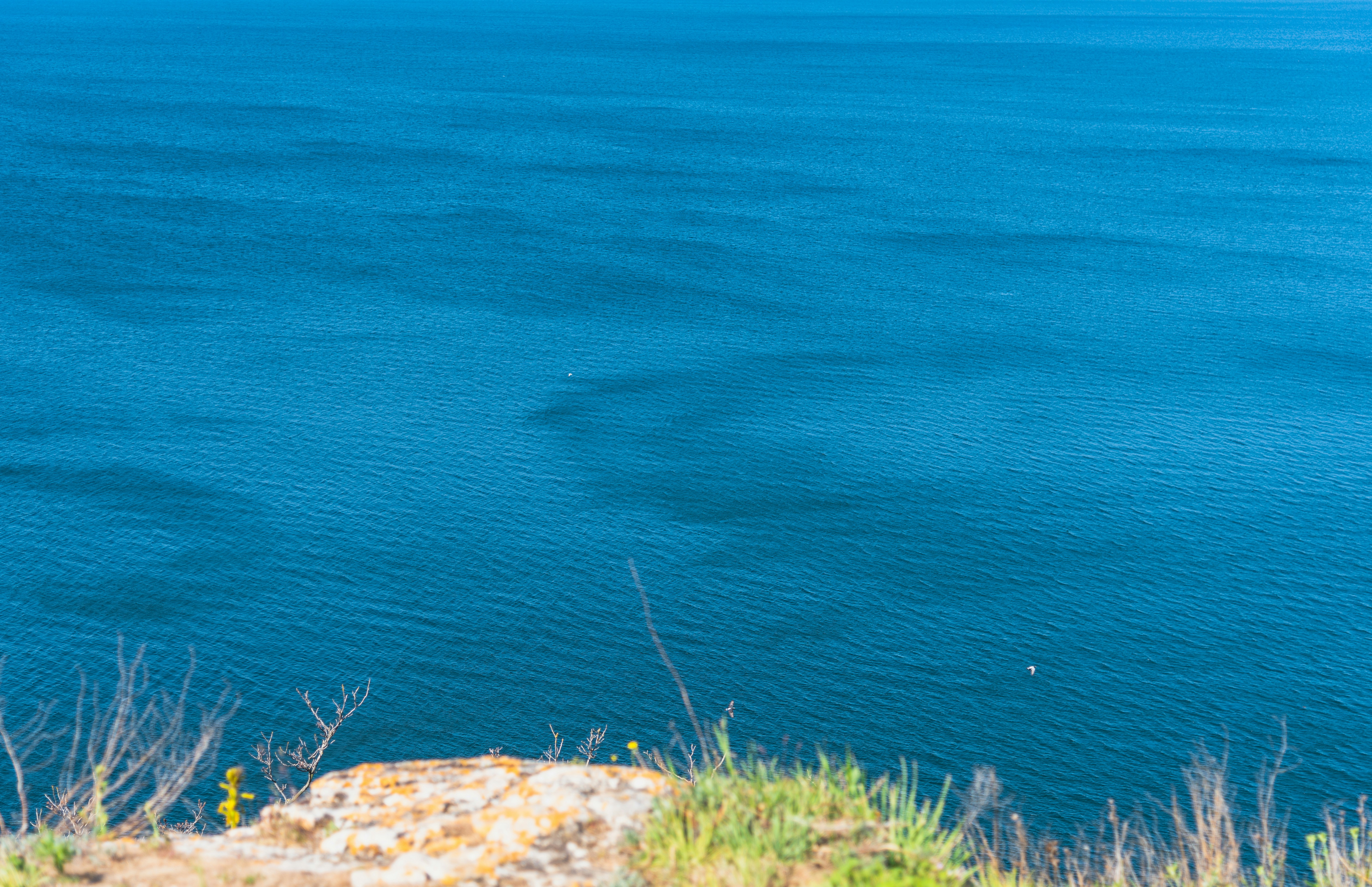 Photo by bkaraivanov