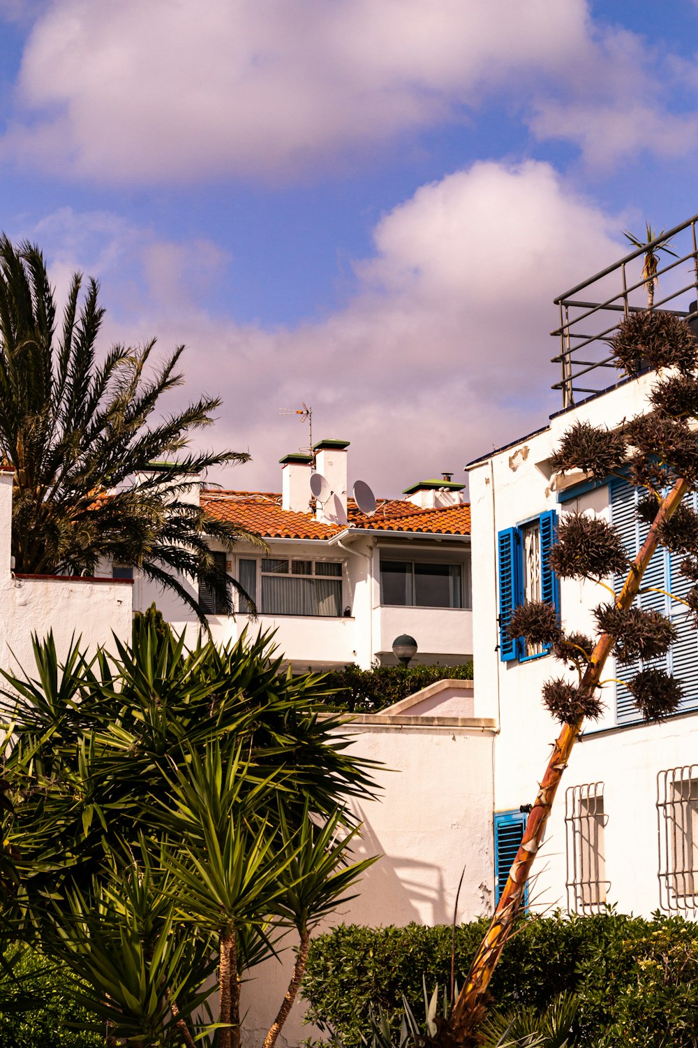 a white house with blue shutters and palm trees