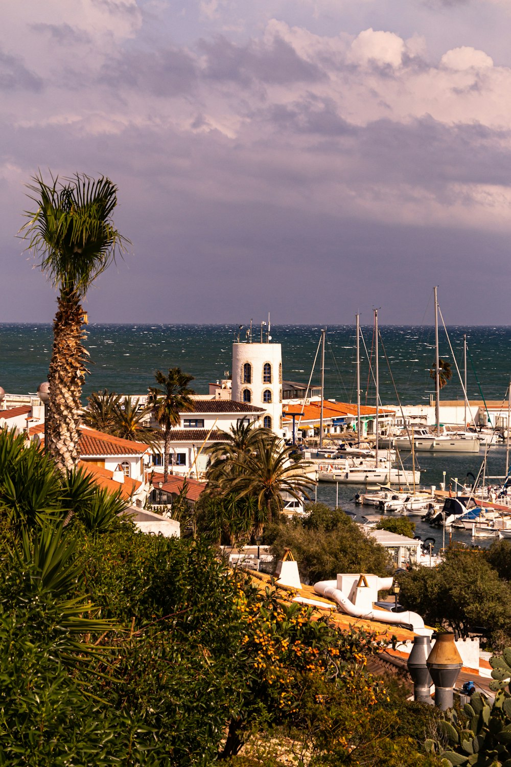 a view of a marina with boats and palm trees