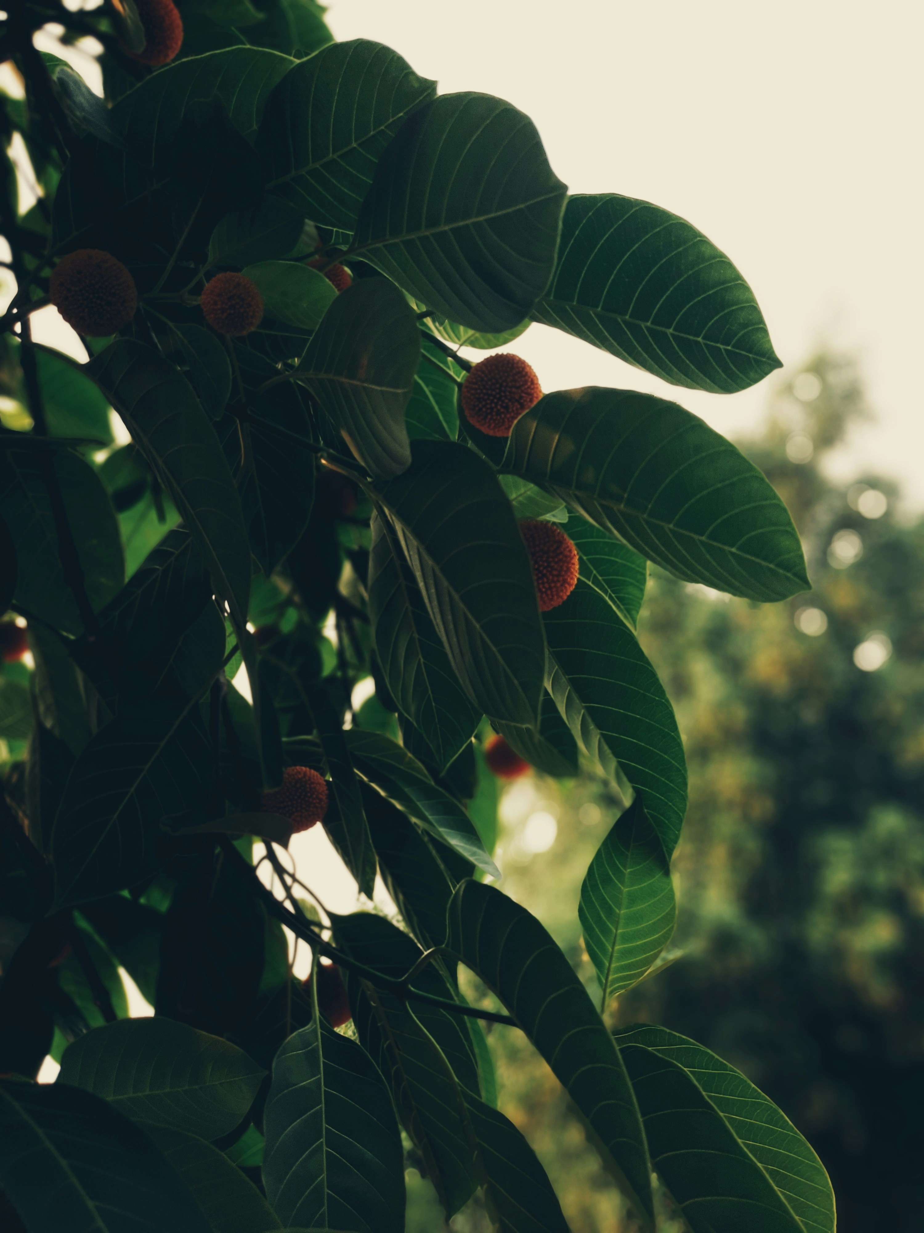 Photo by angelfacetn