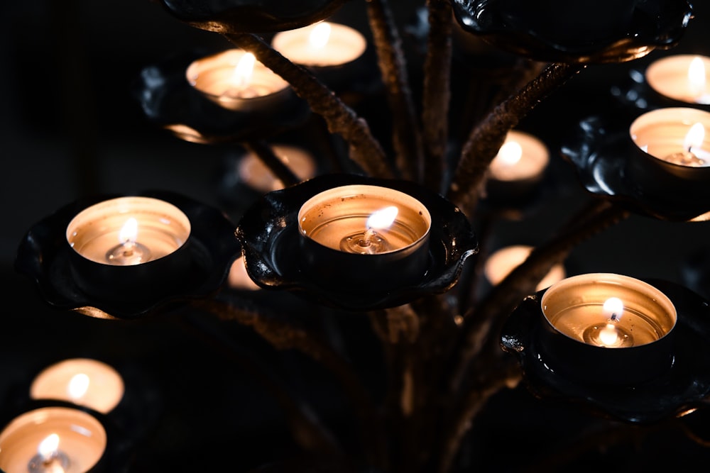 a group of lit candles sitting on top of a tree