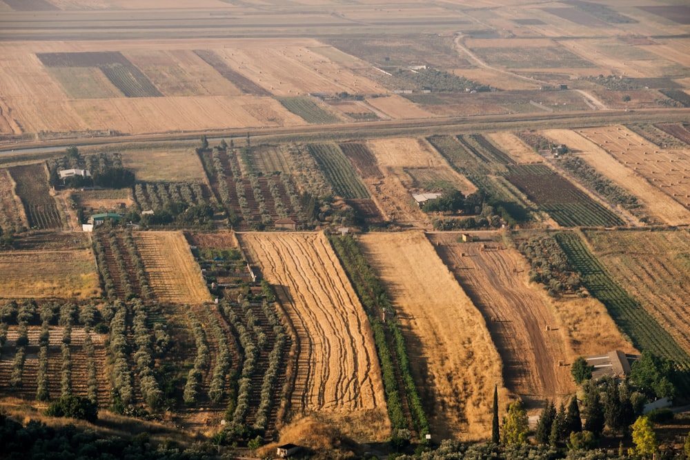 an aerial view of a farm land with trees