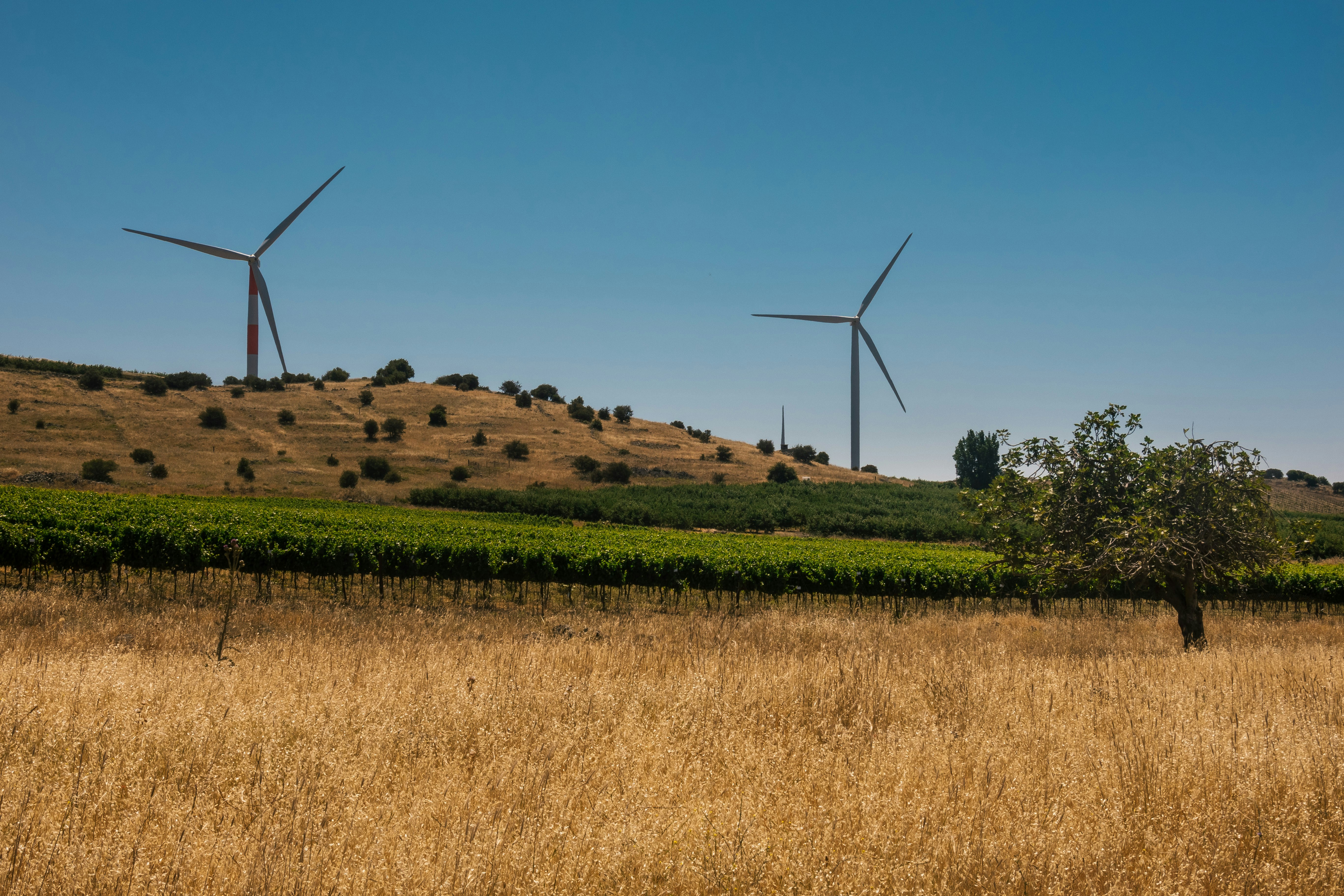 a field with a few wind turbines in the background