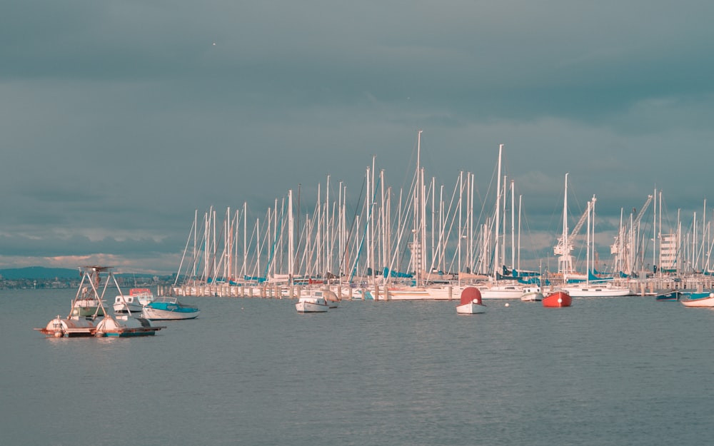 a large body of water filled with lots of boats