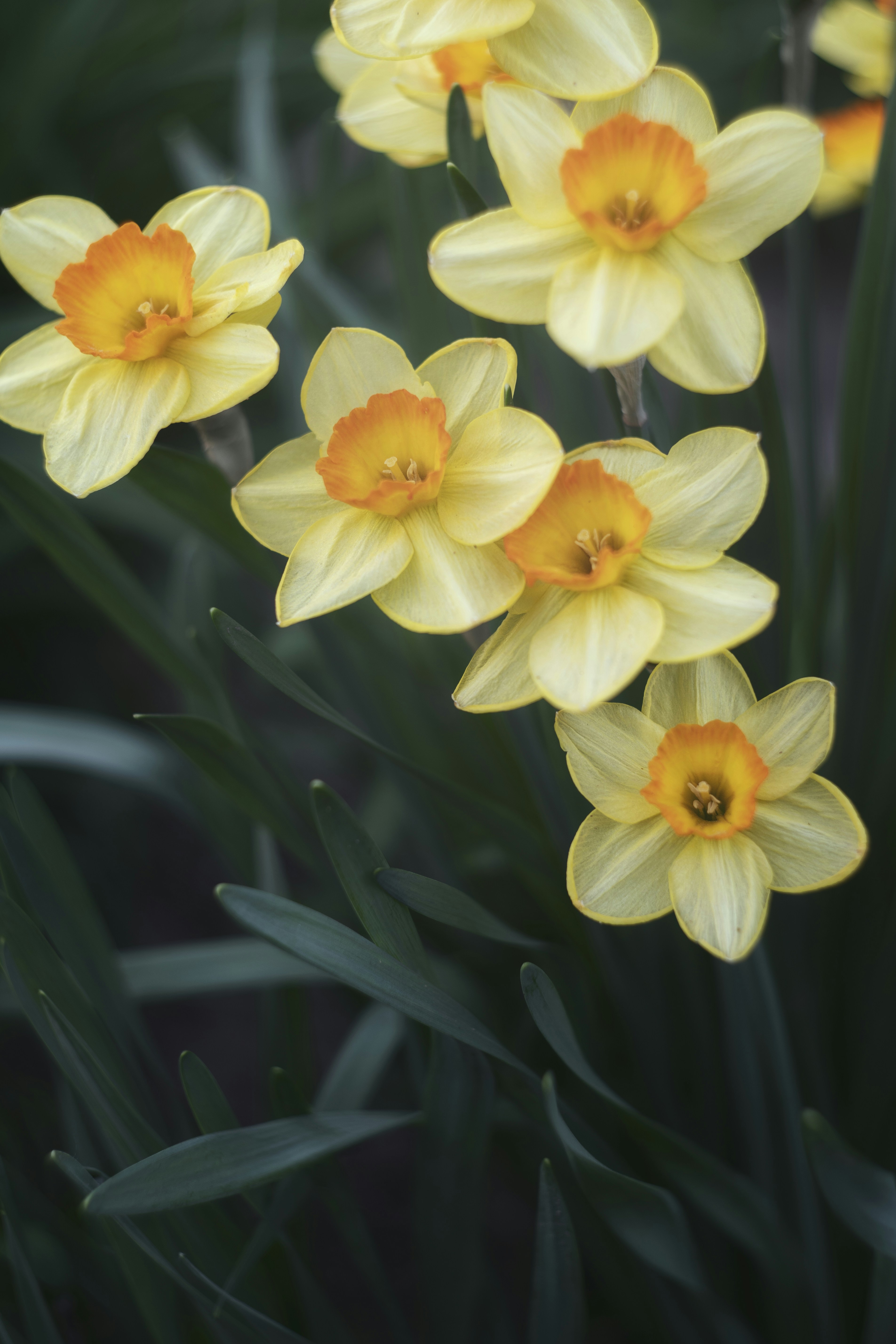 Photo by svetlanaaprel