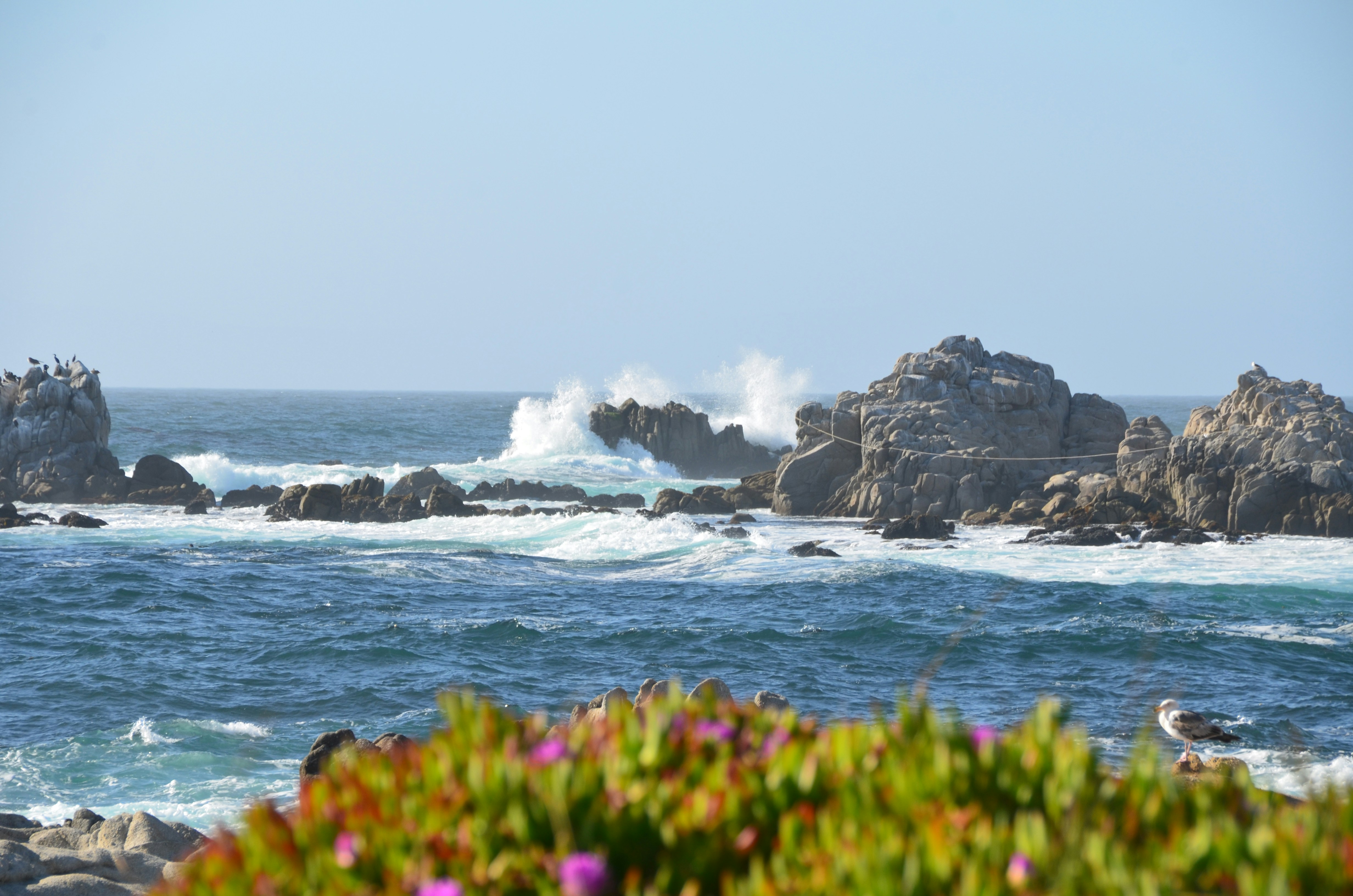 a body of water with rocks in the background
