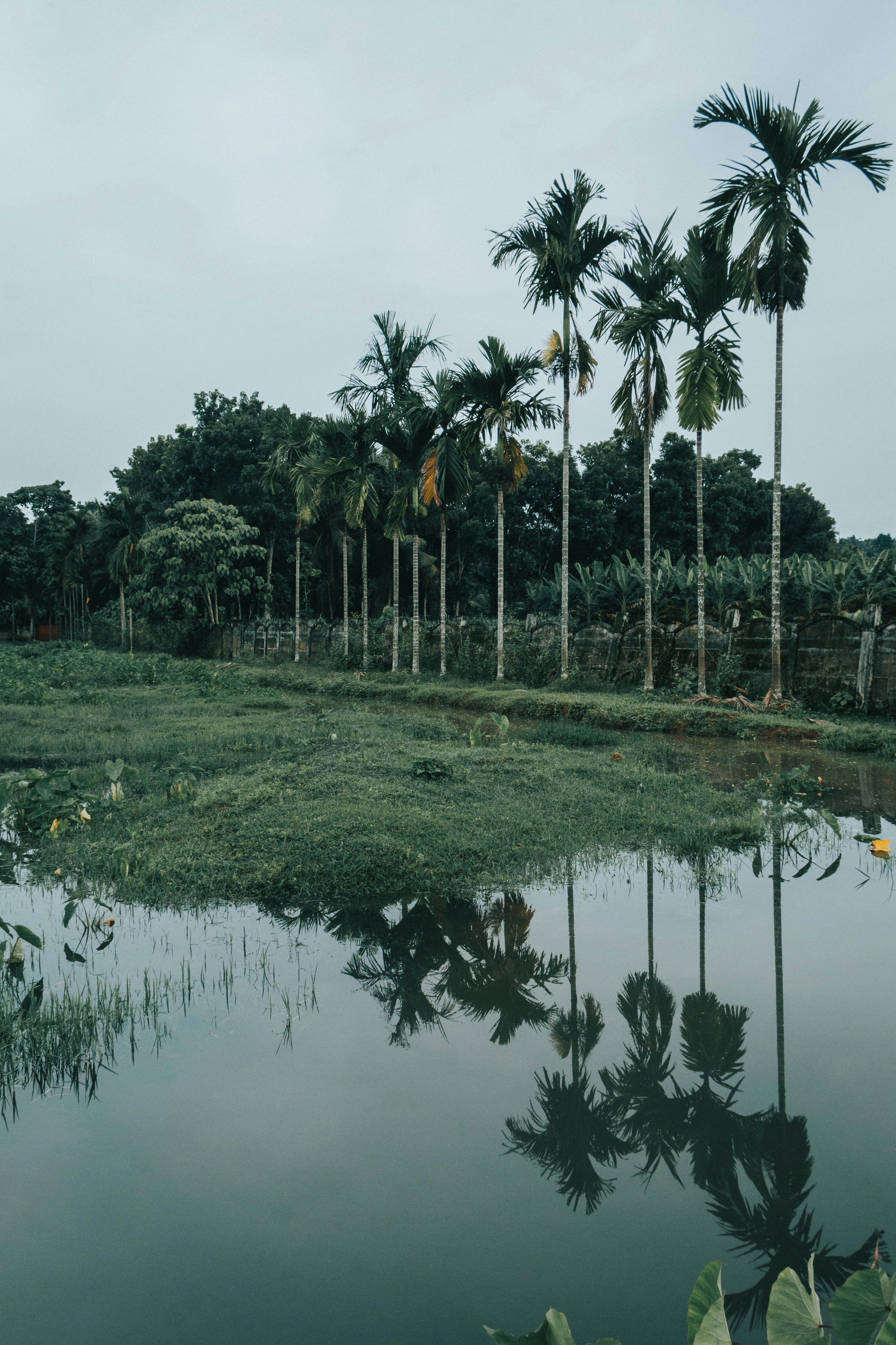 Photo by rishabh_mathew