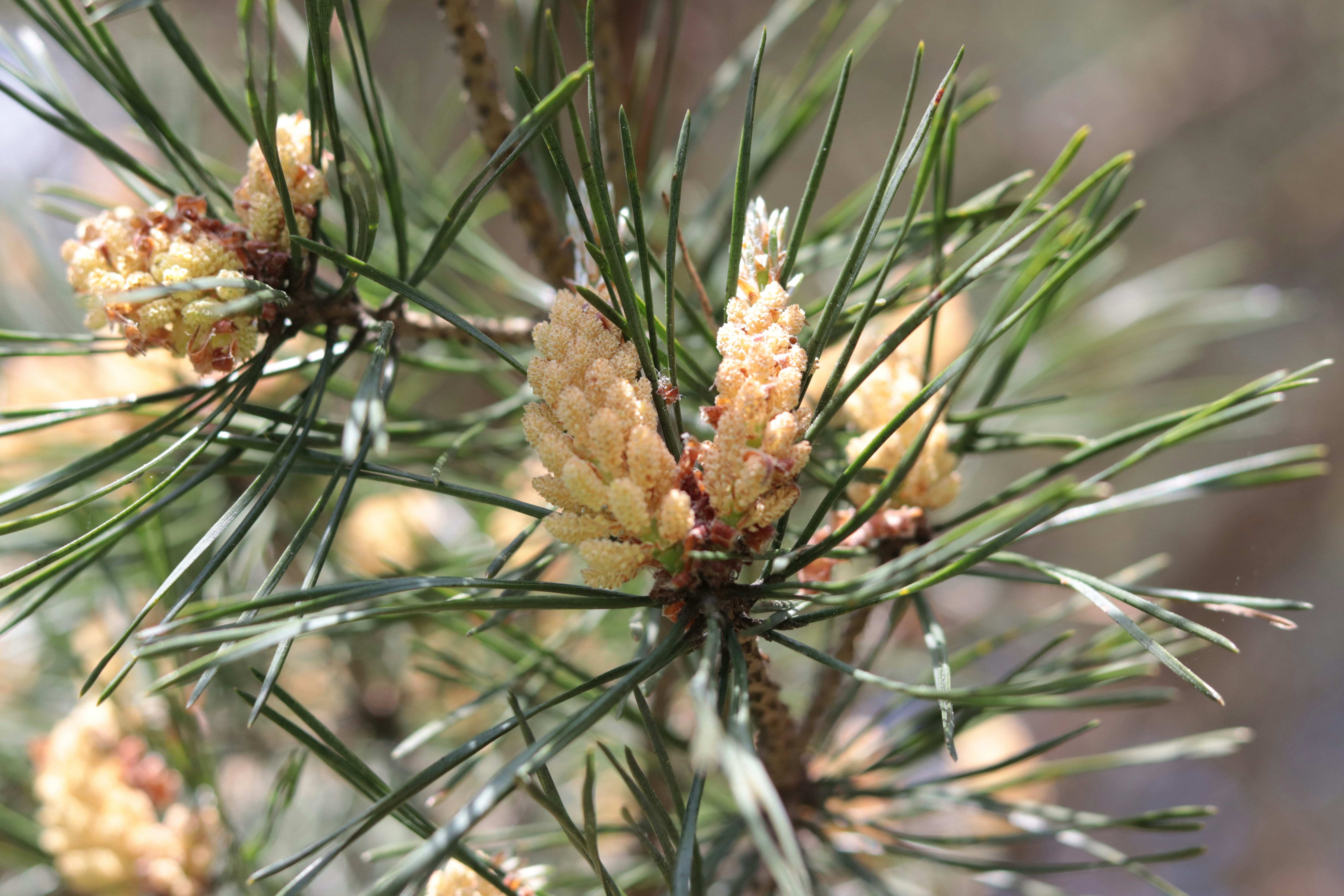 Photo by milagrosira999