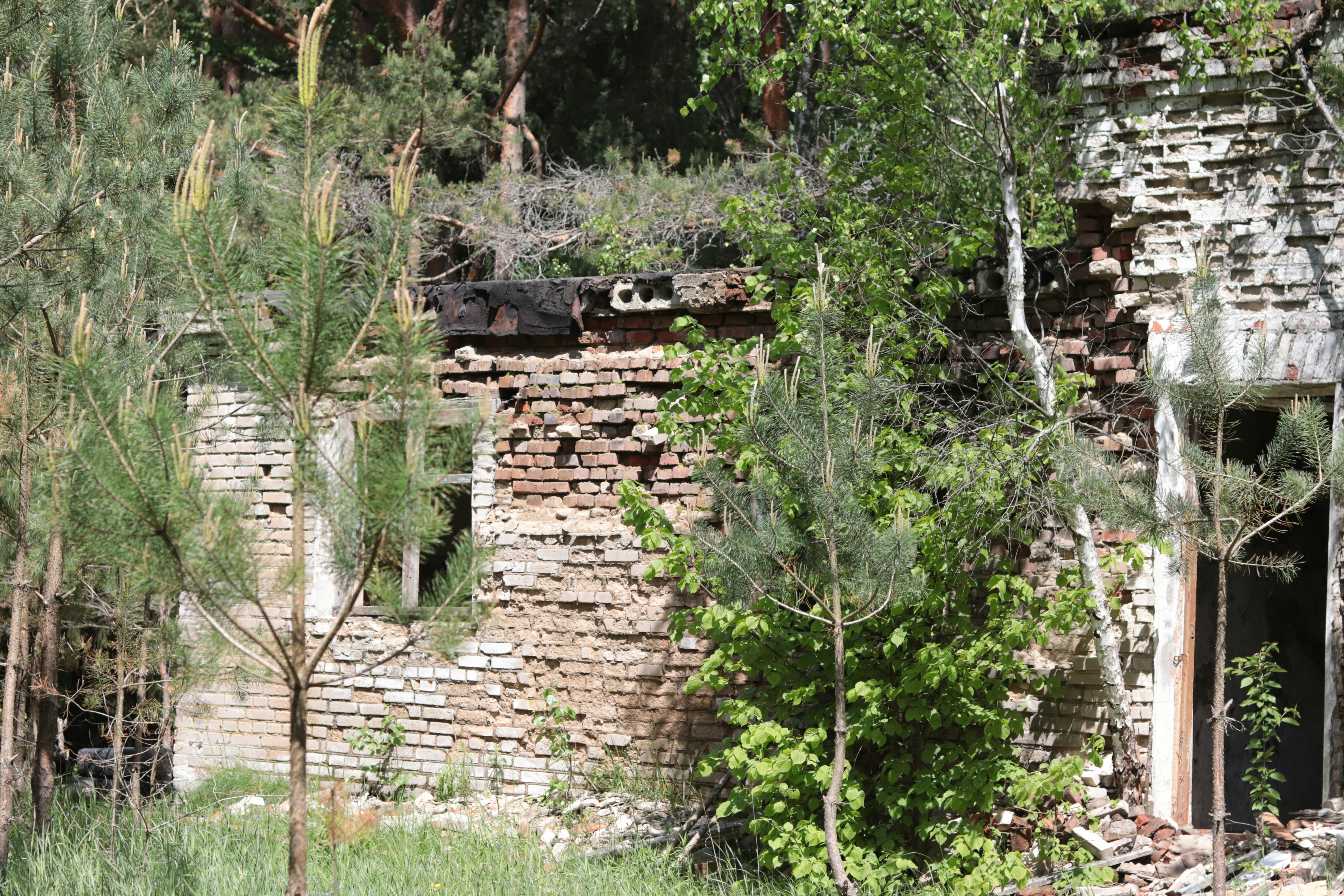 Photo by milagrosira999