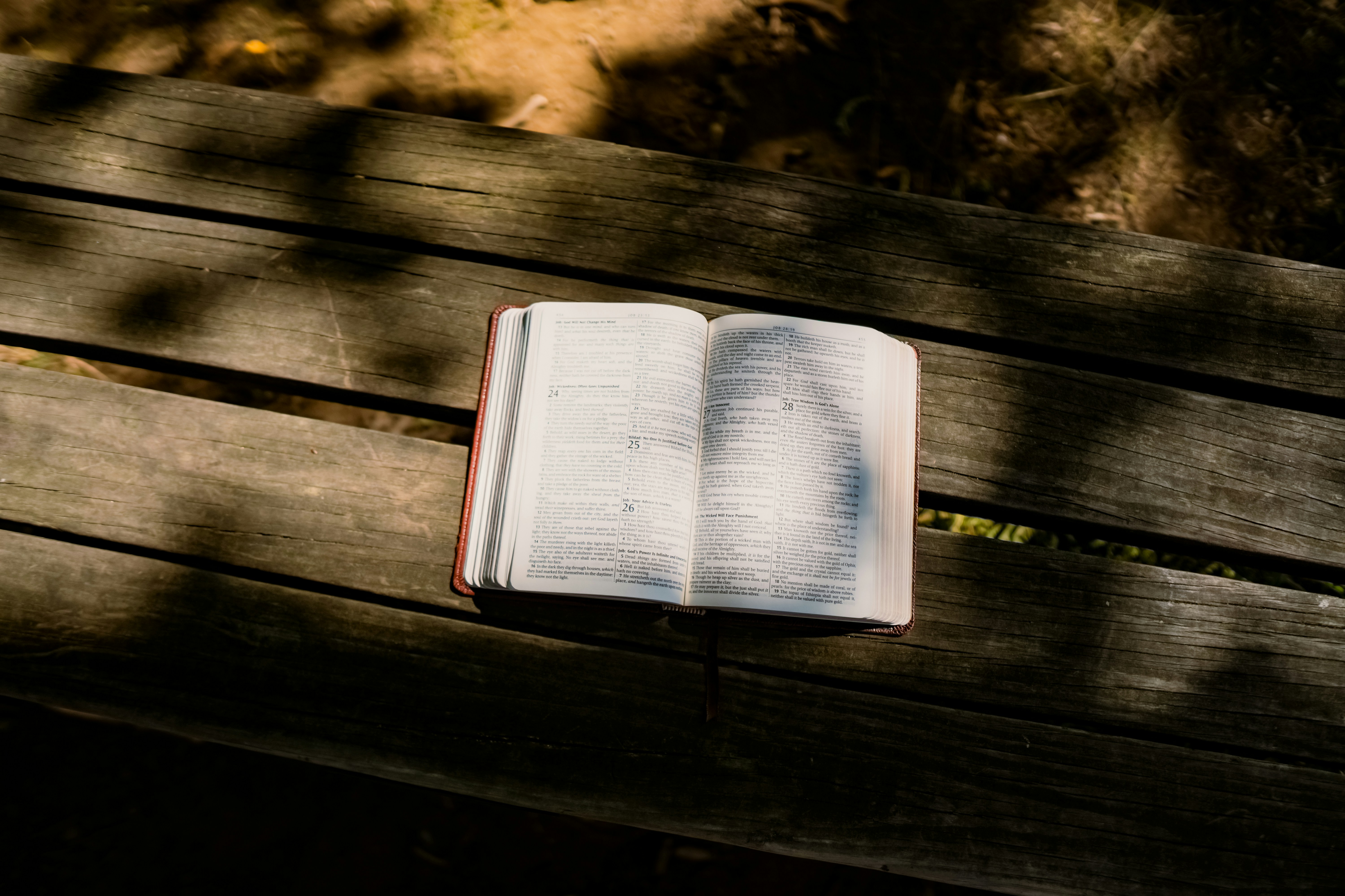 Photo by emmanuelphaeton