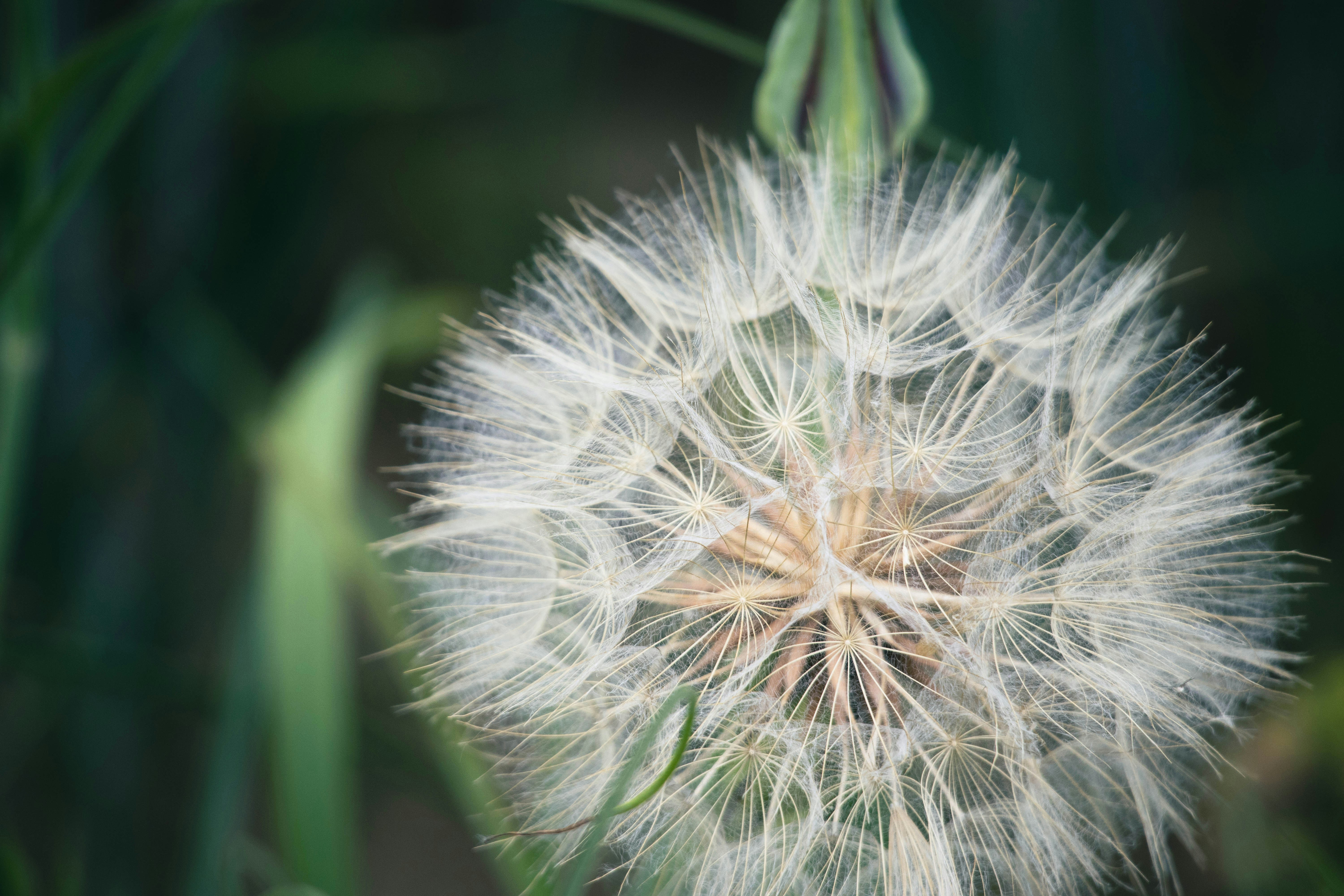 Photo by amandine_bataille_photo