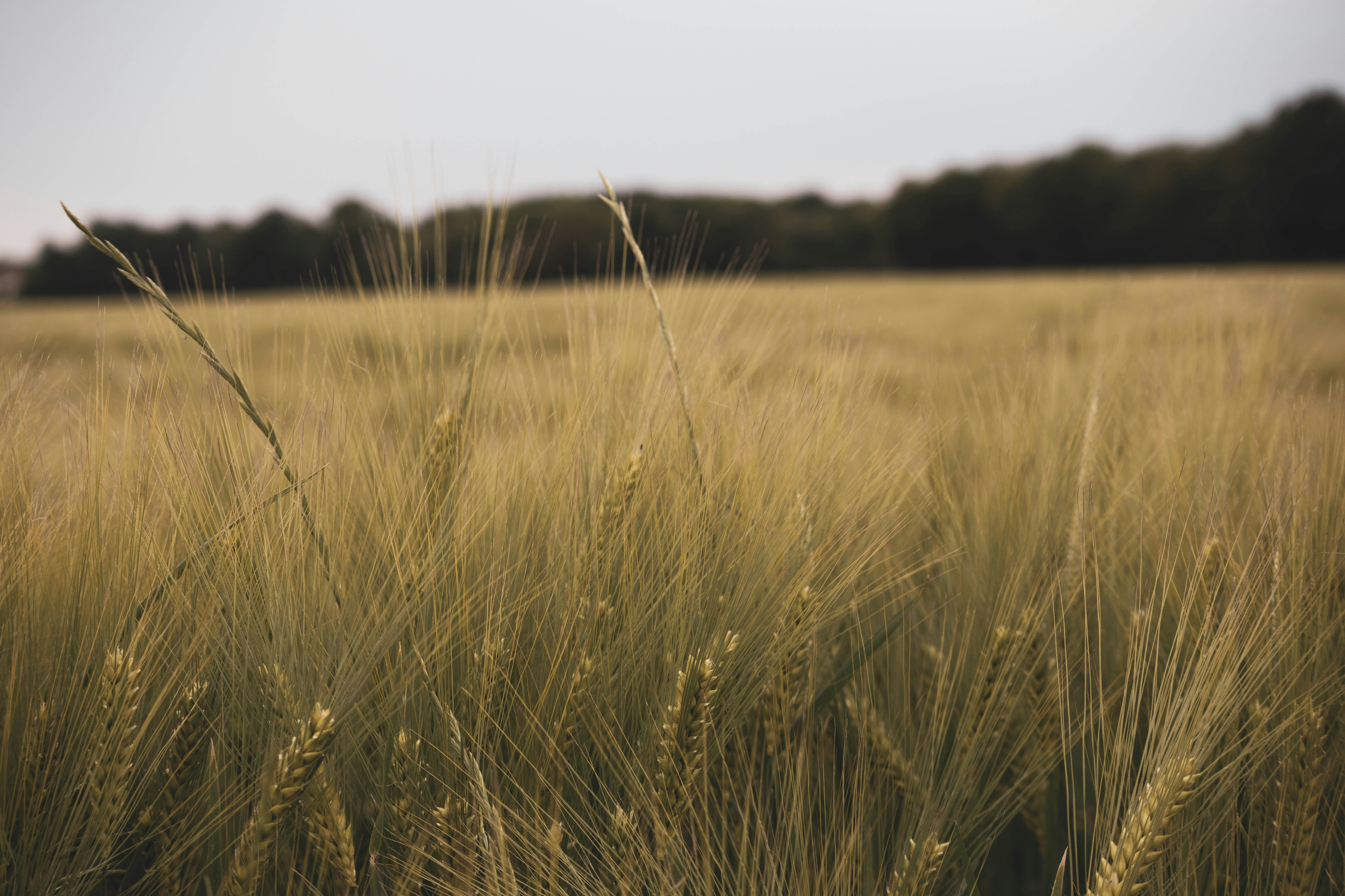 Photo by amandine_bataille_photo