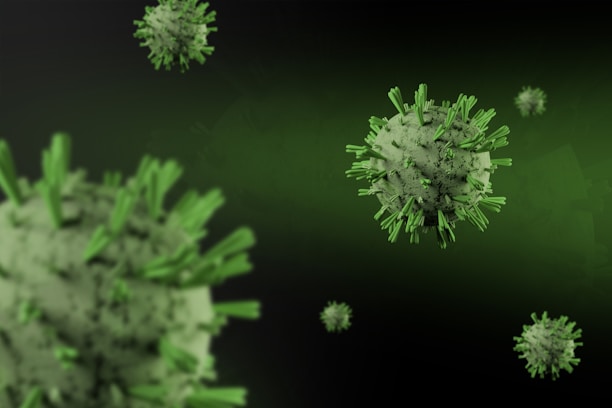 Several microscopic virus particles with spiky protrusions, depicted in shades of green against a dark green background. The viruses have a spherical shape with varying sizes in the foreground and background.