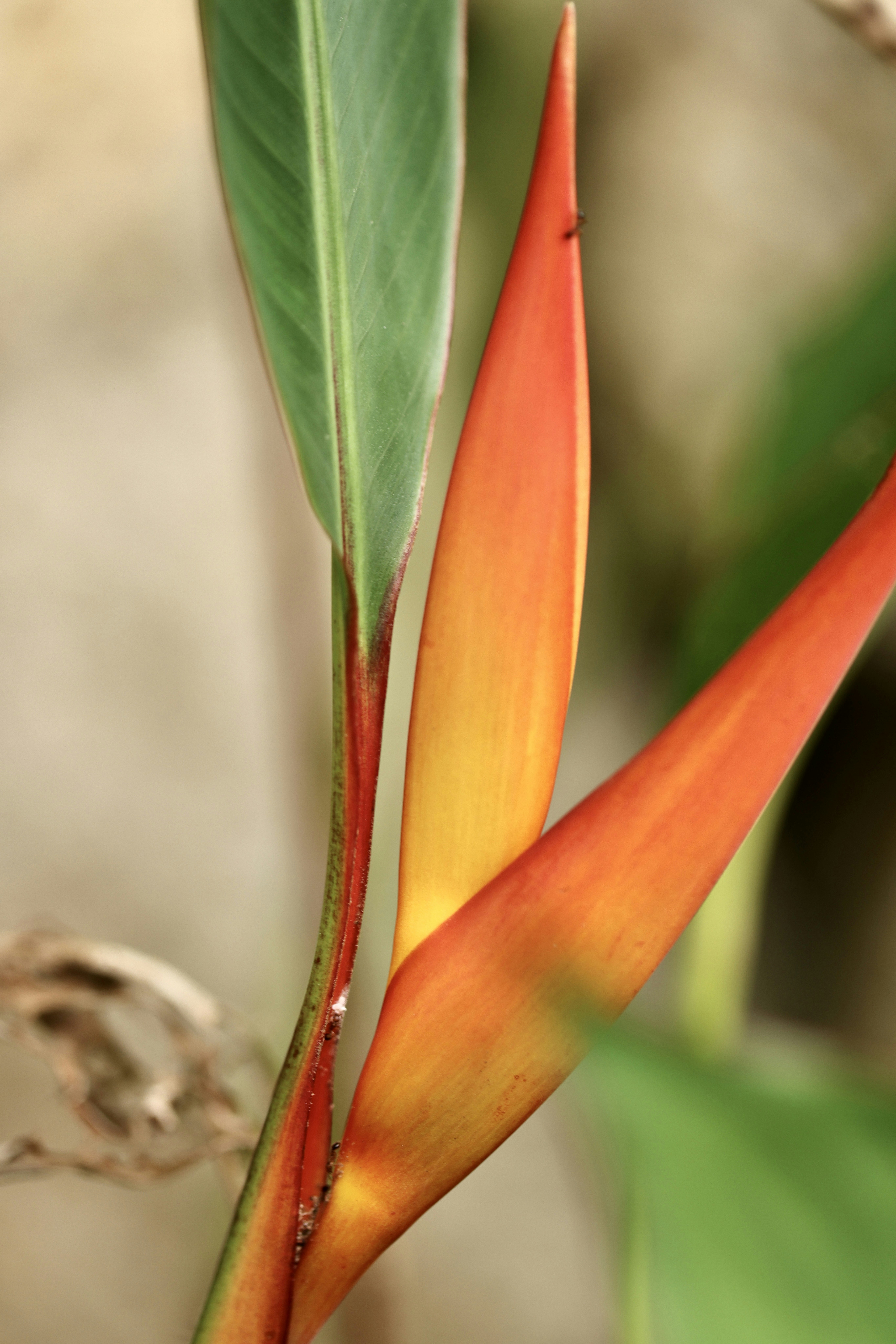 Photo by dickenslin76