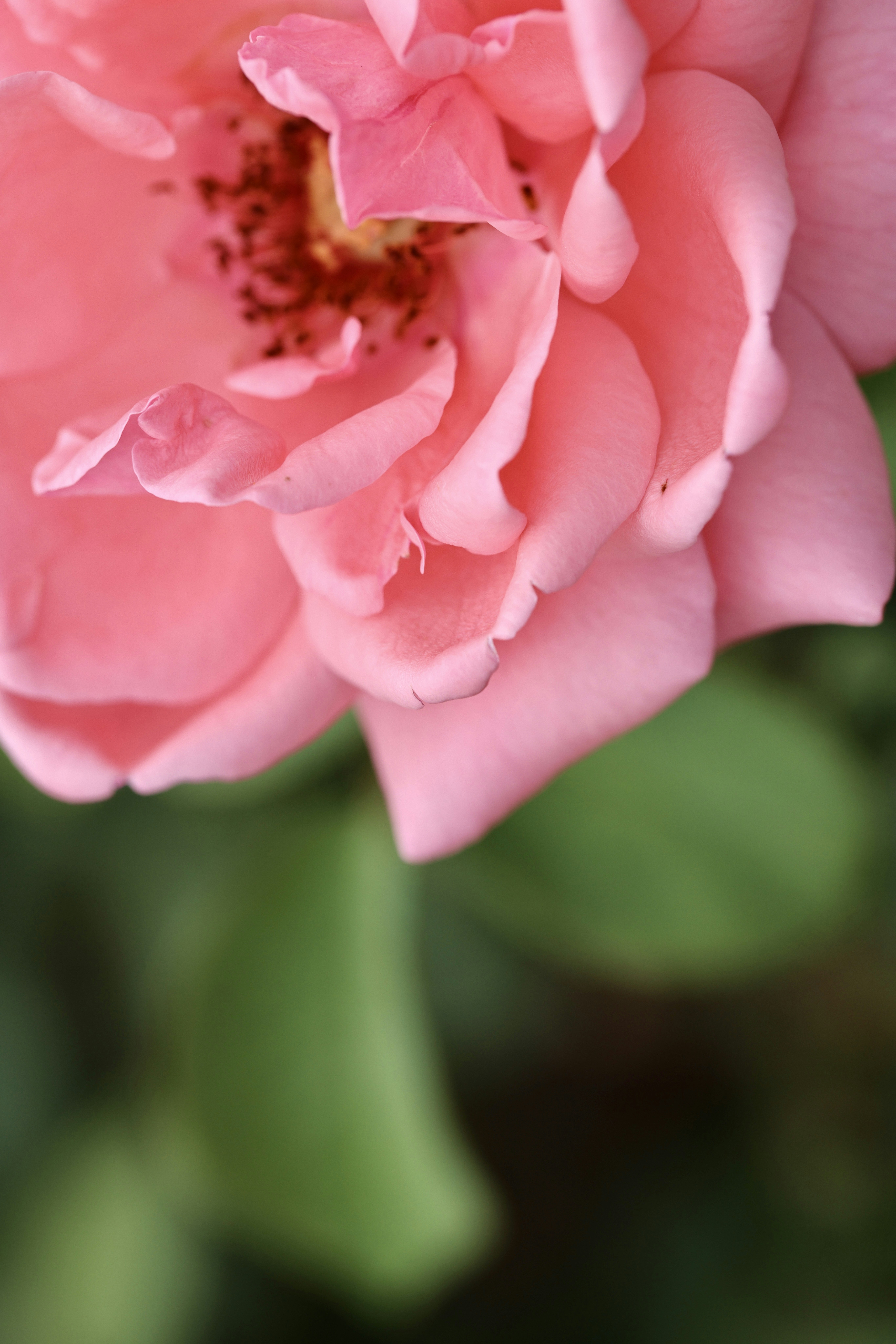 Photo by dickenslin76