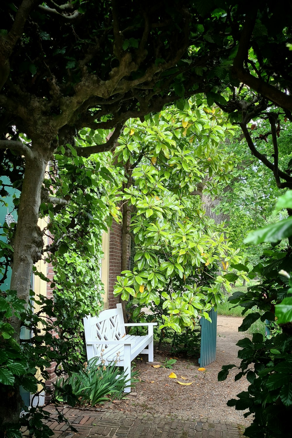 a white bench sitting under a lush green tree