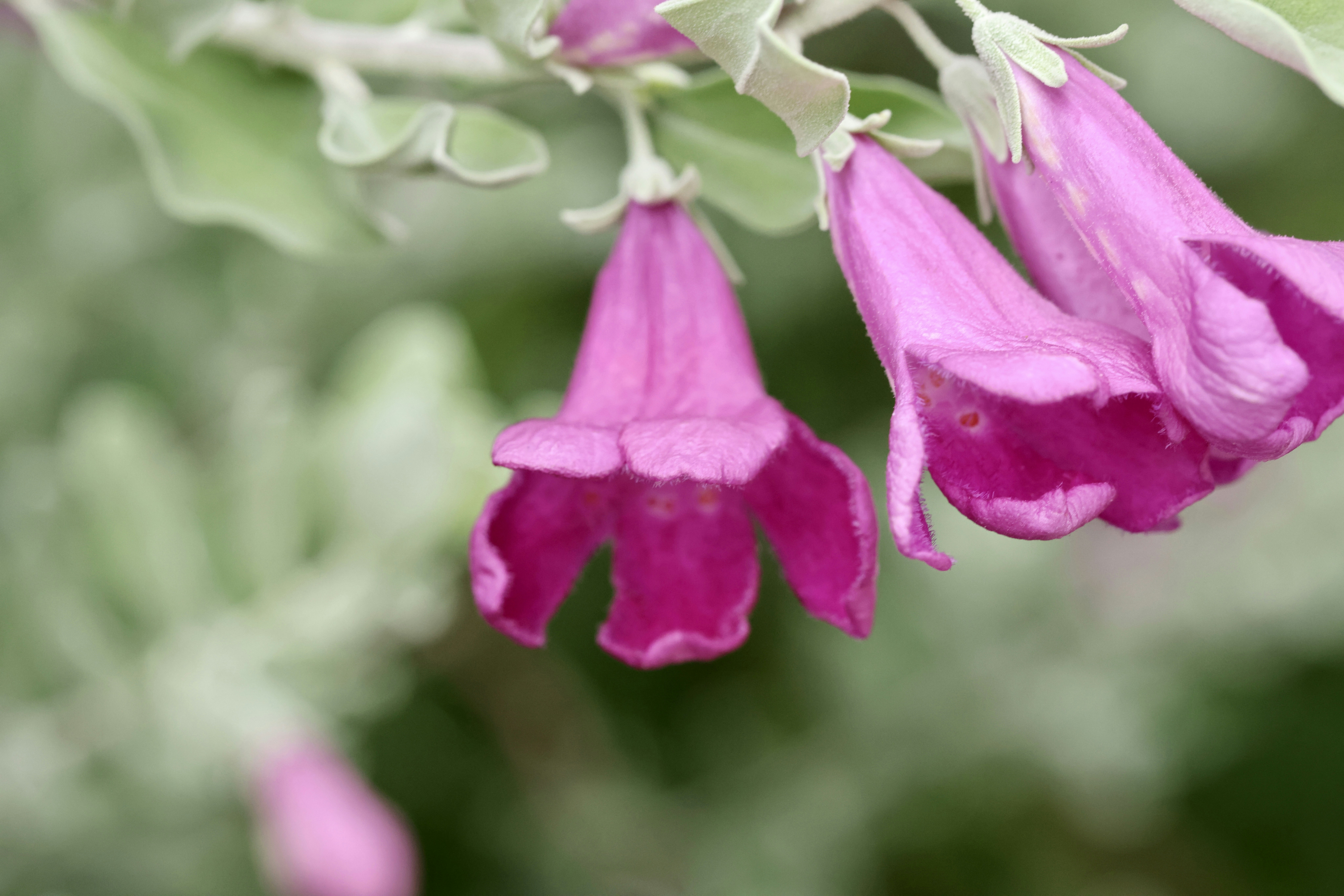 Photo by dickenslin76