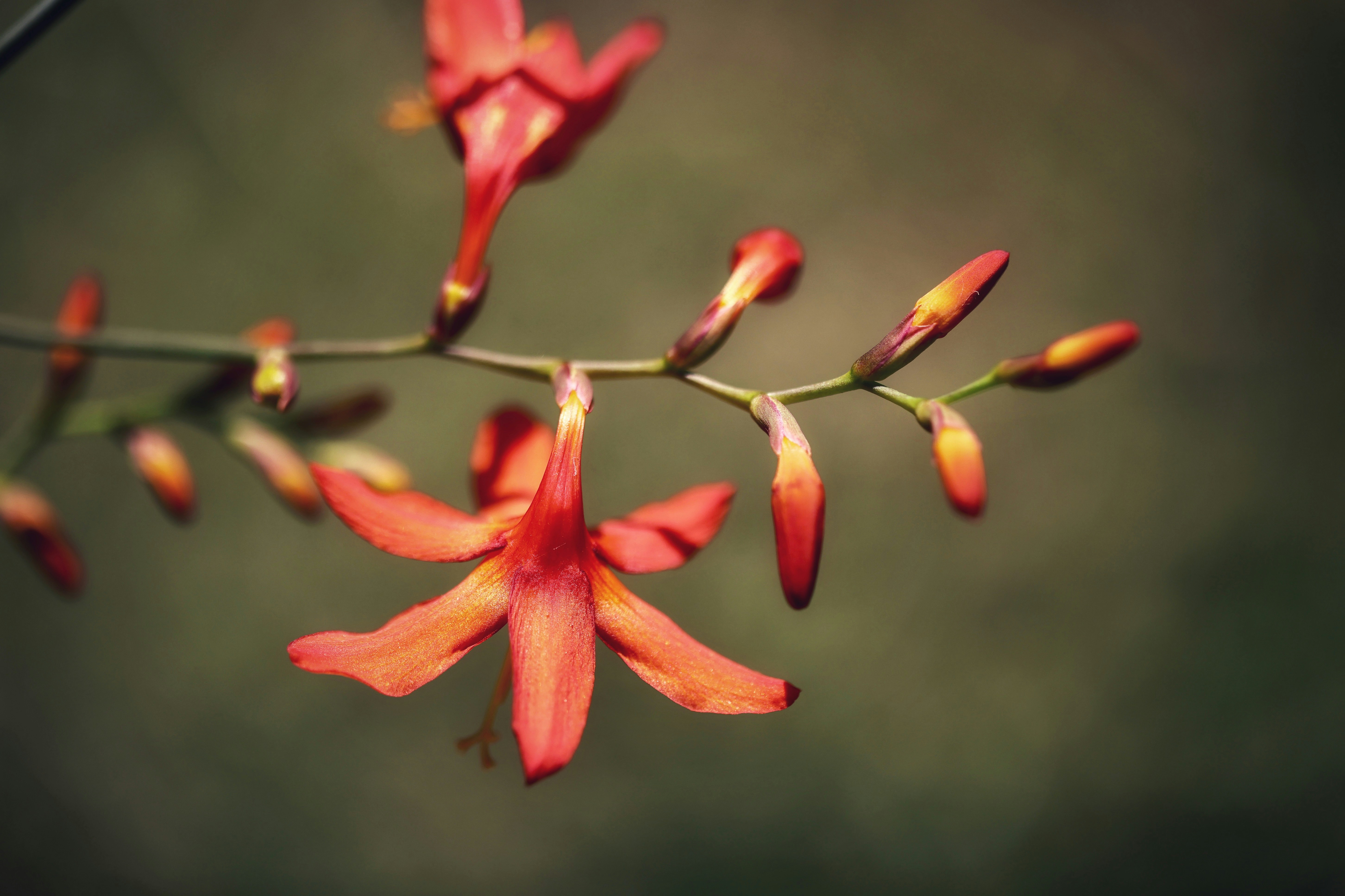 Photo by dickenslin76