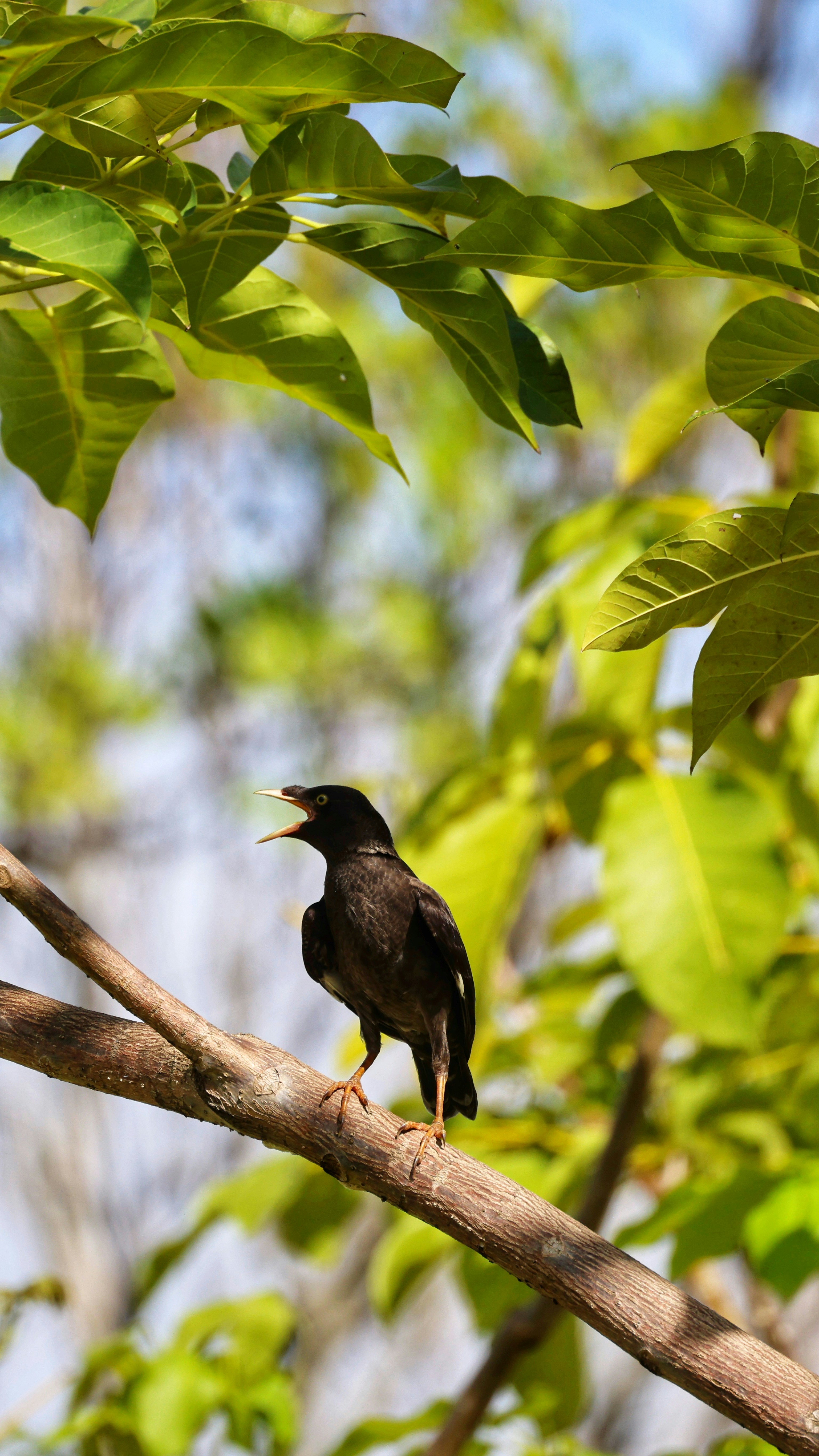 Photo by dickenslin76